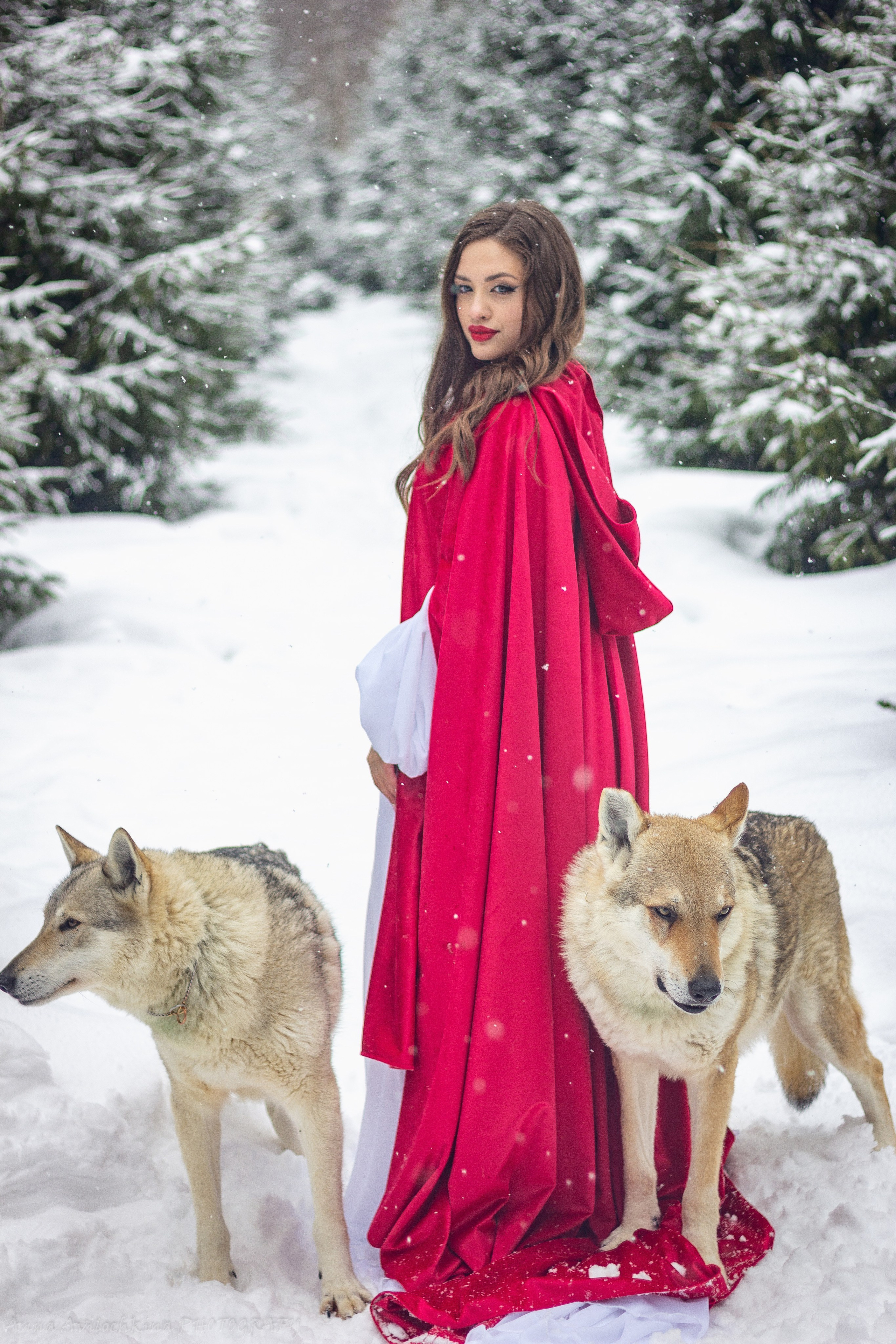 Альбомы стилизованных фотосессий и съёмки с животными. Семейный и свадебный фотограф в Москве и Домодедово Анна Авилочкина