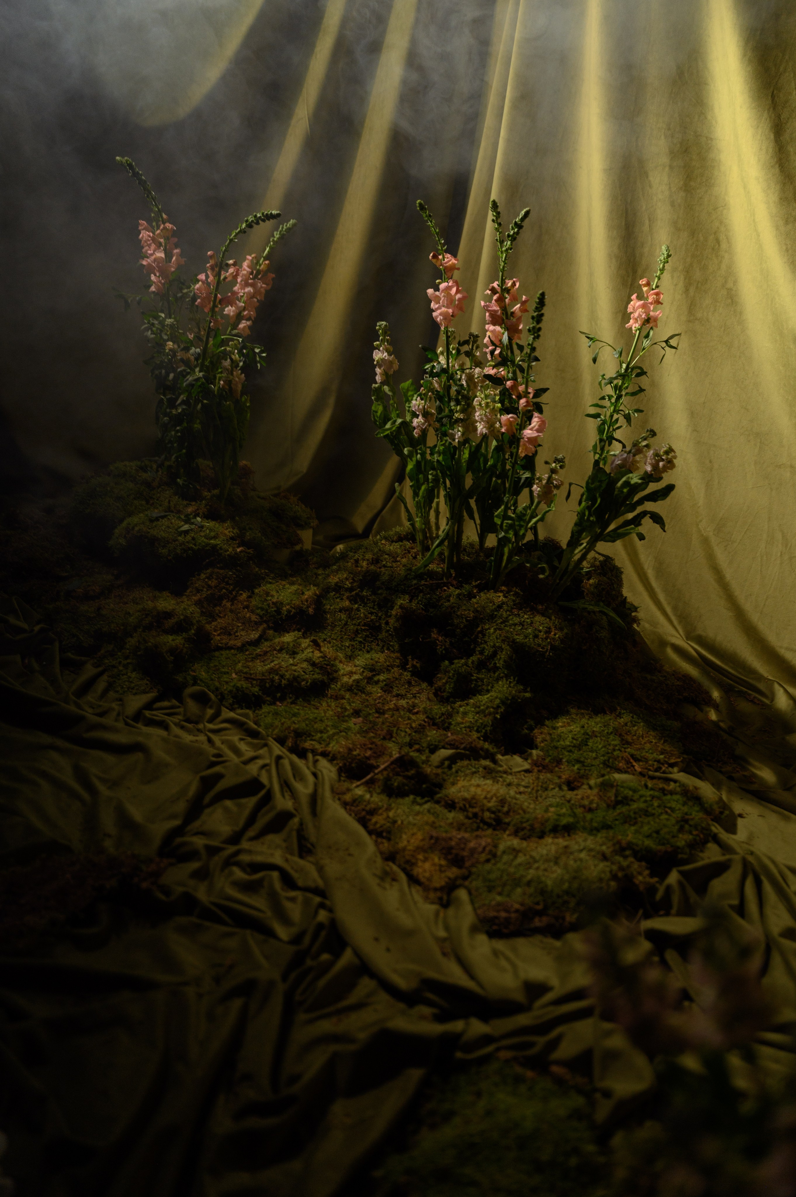 Максим и Яна. Свадебный фотограф и видеограф