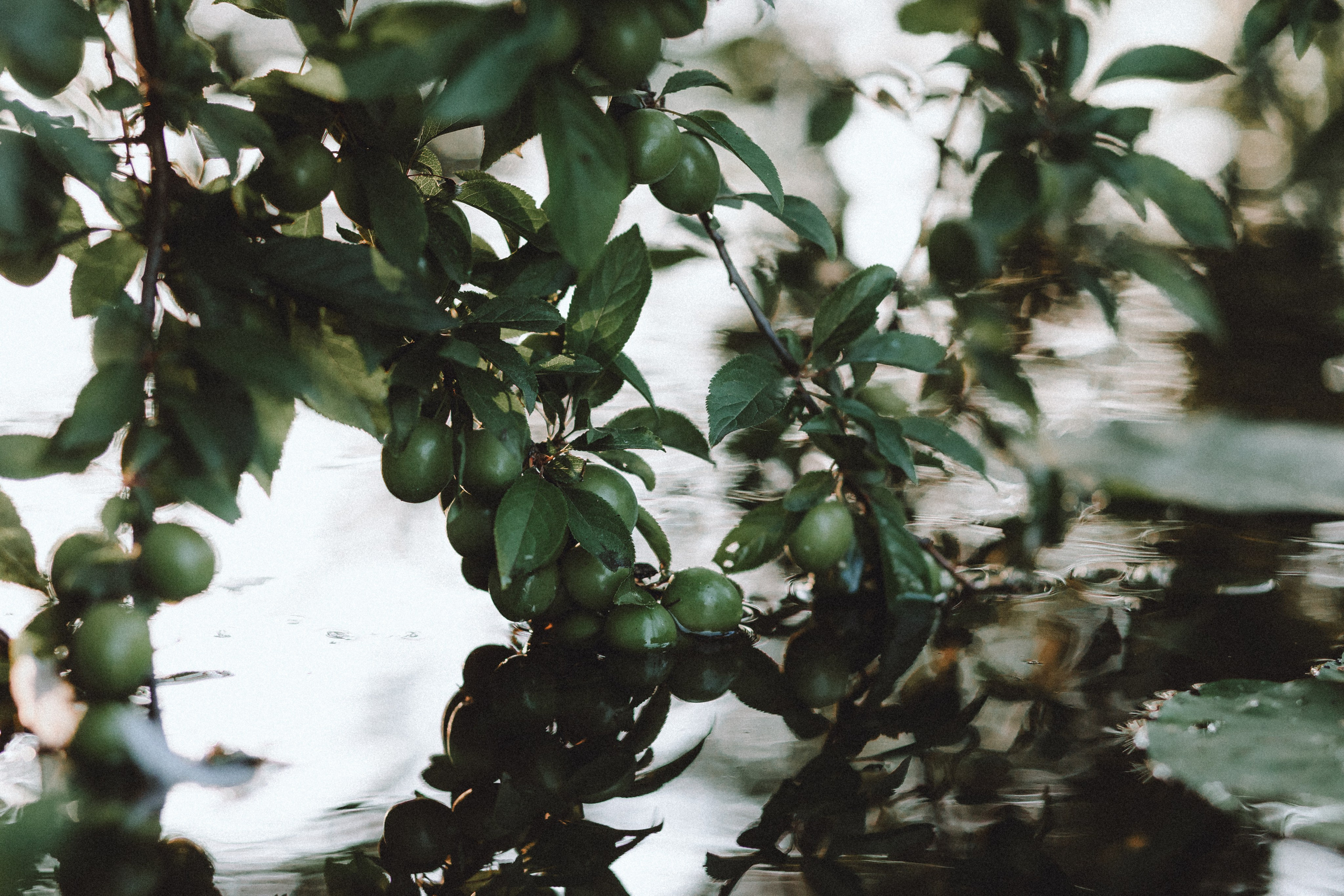 Маша и Джерри