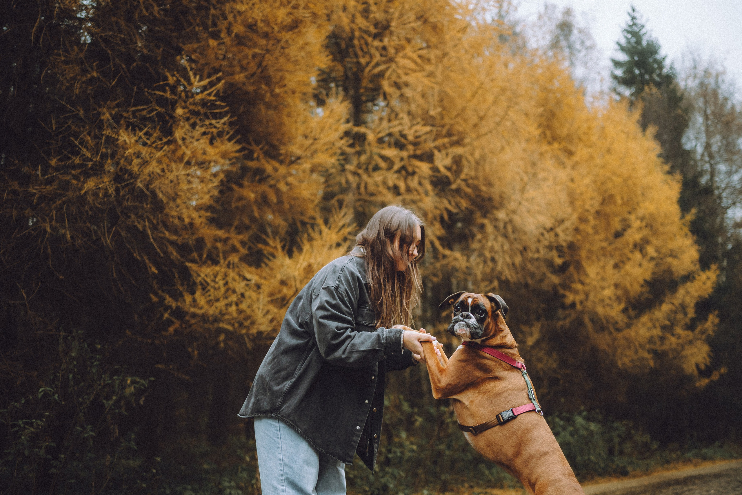 Элли и ее семья