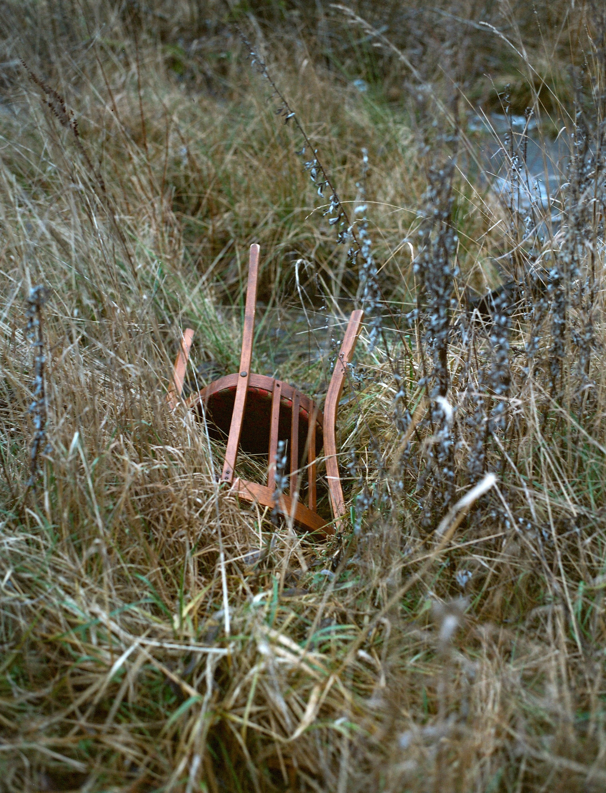 Landscape. Valerii Konkov