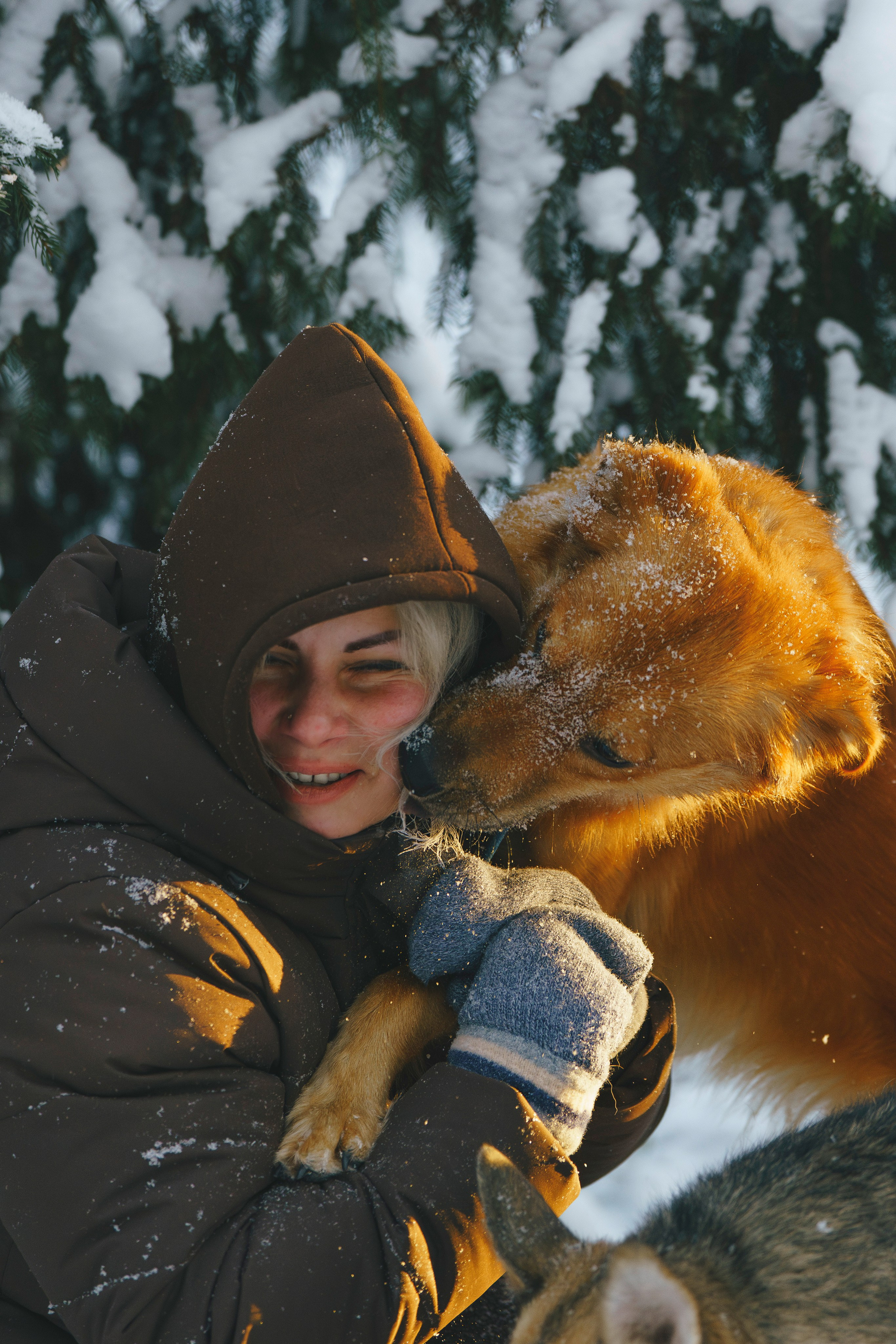 Рэй, Кузя, Ольга и Александр. Фотограф анималист в Спб недорого Олеся Майорова