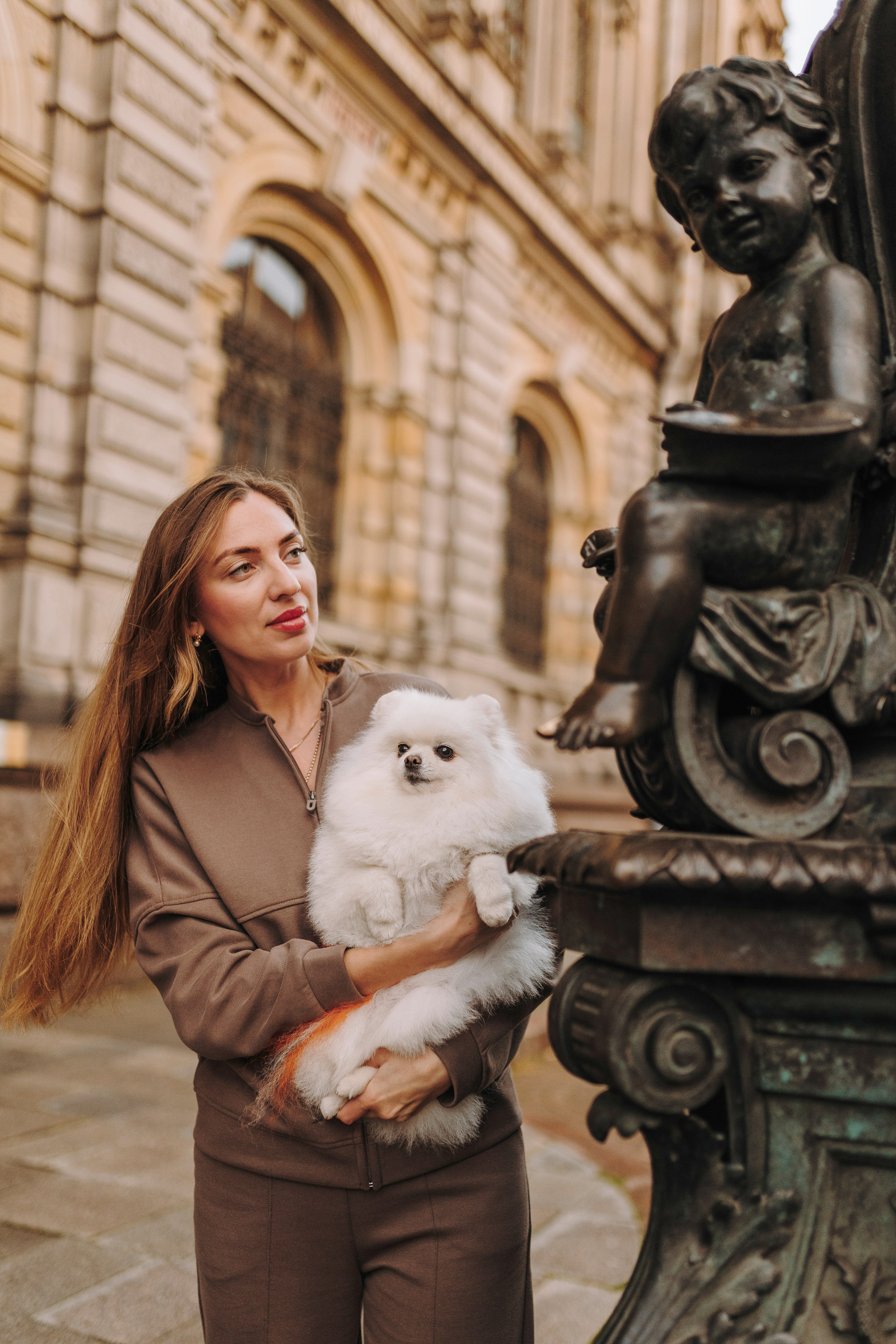 Фотосессия с померанским шпицем. Фотограф анималист в Спб недорого Олеся Майорова