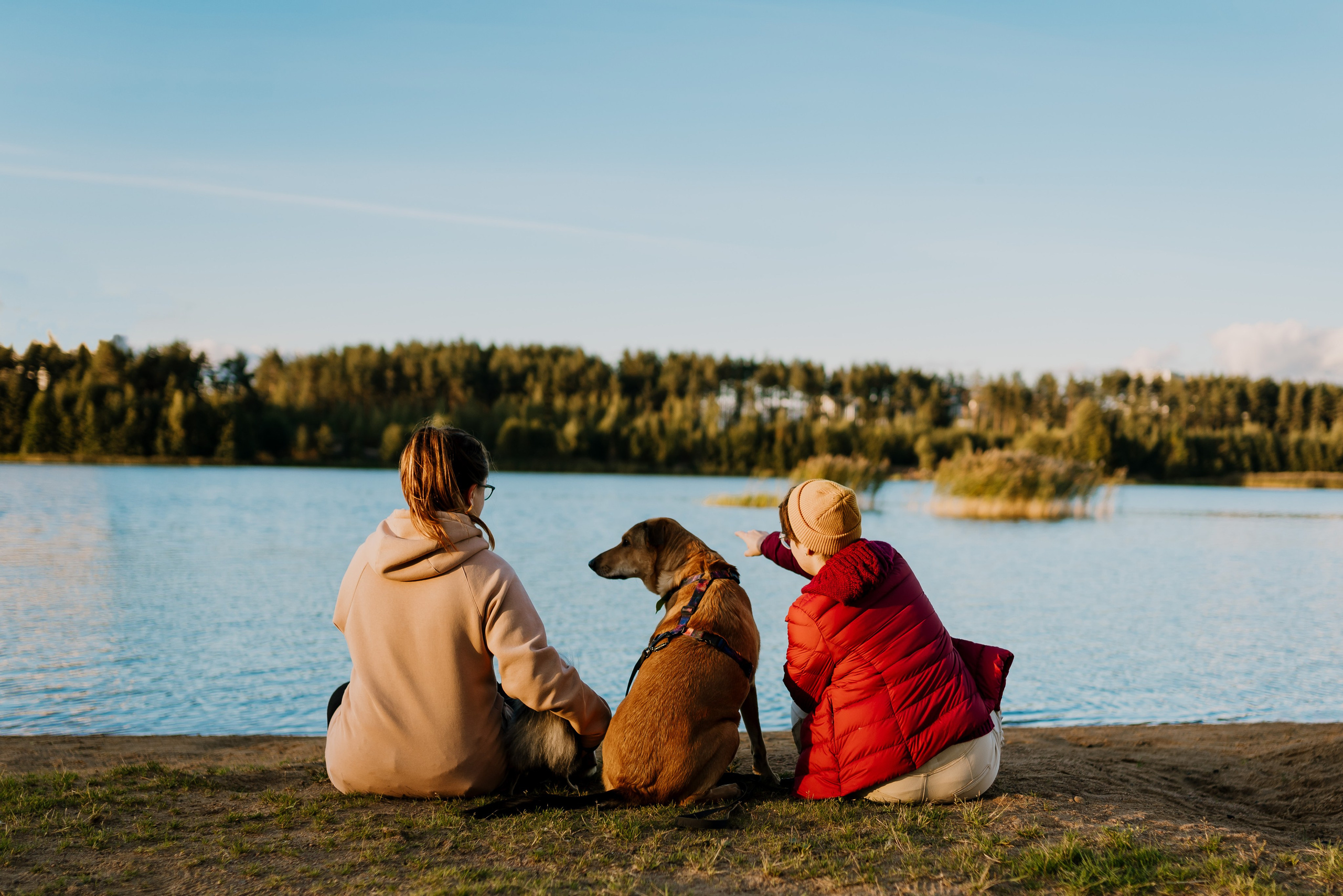 Семейная фотосессия с двумя собаками на закате. Фотограф анималист в Спб недорого Олеся Майорова