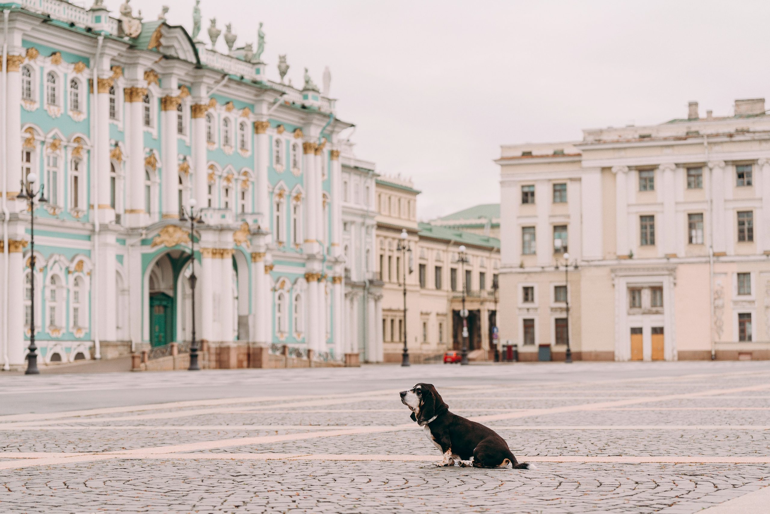 Елизавета и Епифан. Фотограф анималист в Спб недорого Олеся Майорова