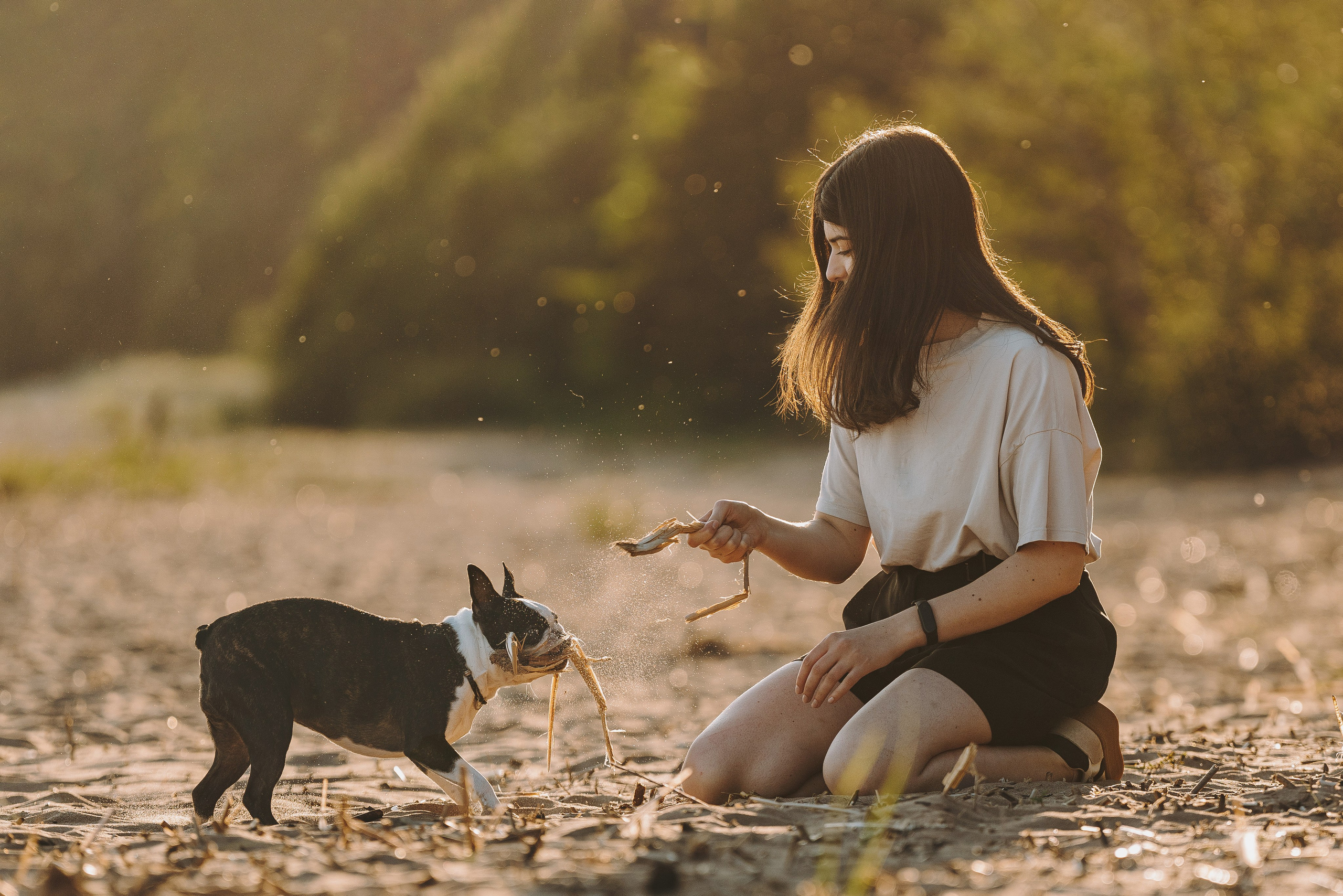 Анаита и Дора. Фотограф анималист в Спб недорого Олеся Майорова
