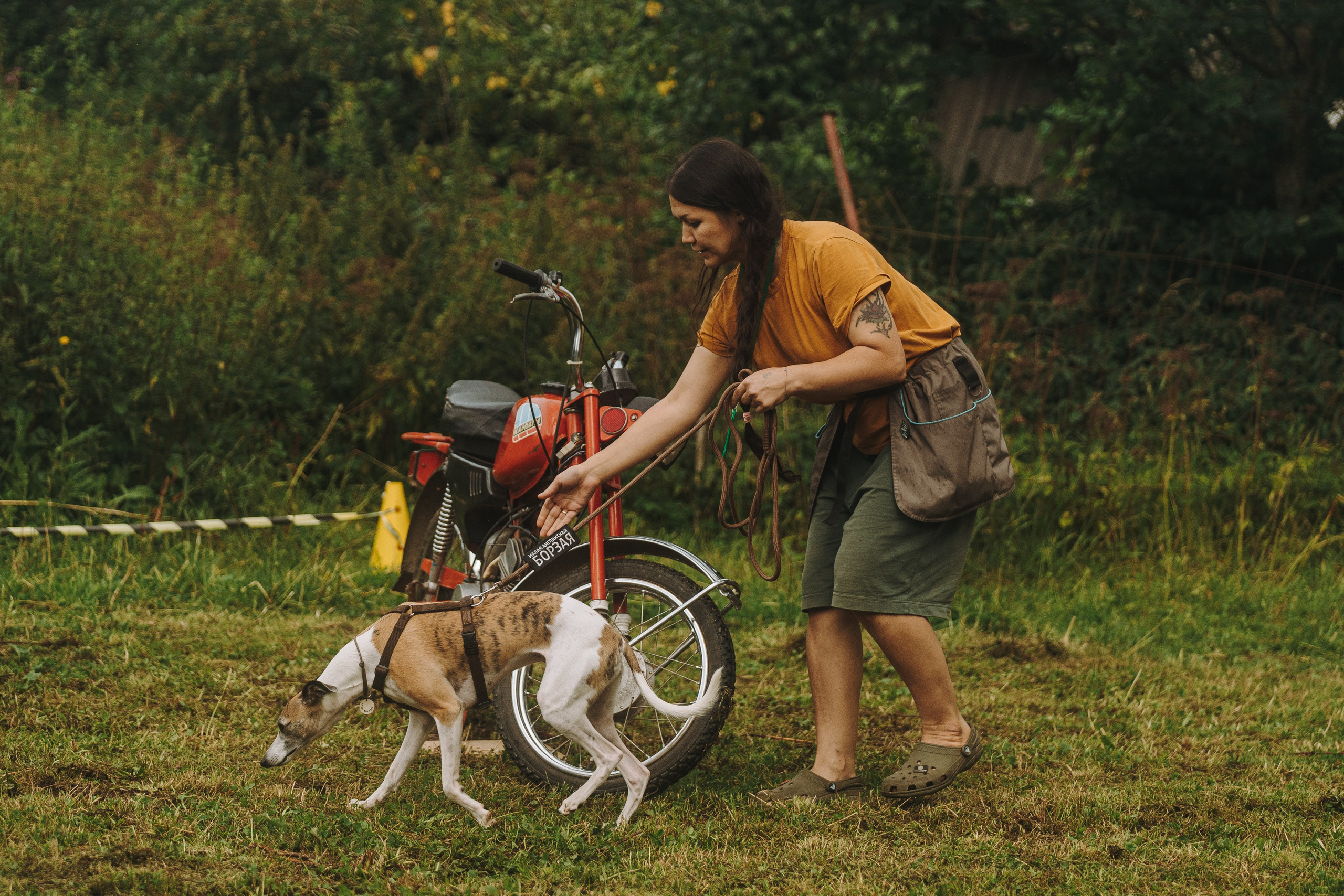 Соревнования по ноузворку в Новожилово. Фотограф анималист в Спб недорого Олеся Майорова