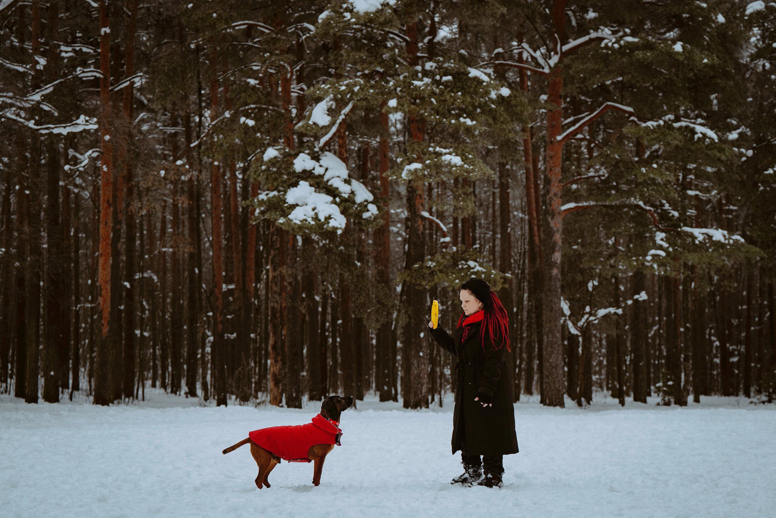 Ольга, Рора и Румпель. Фотограф анималист в Спб недорого Олеся Майорова