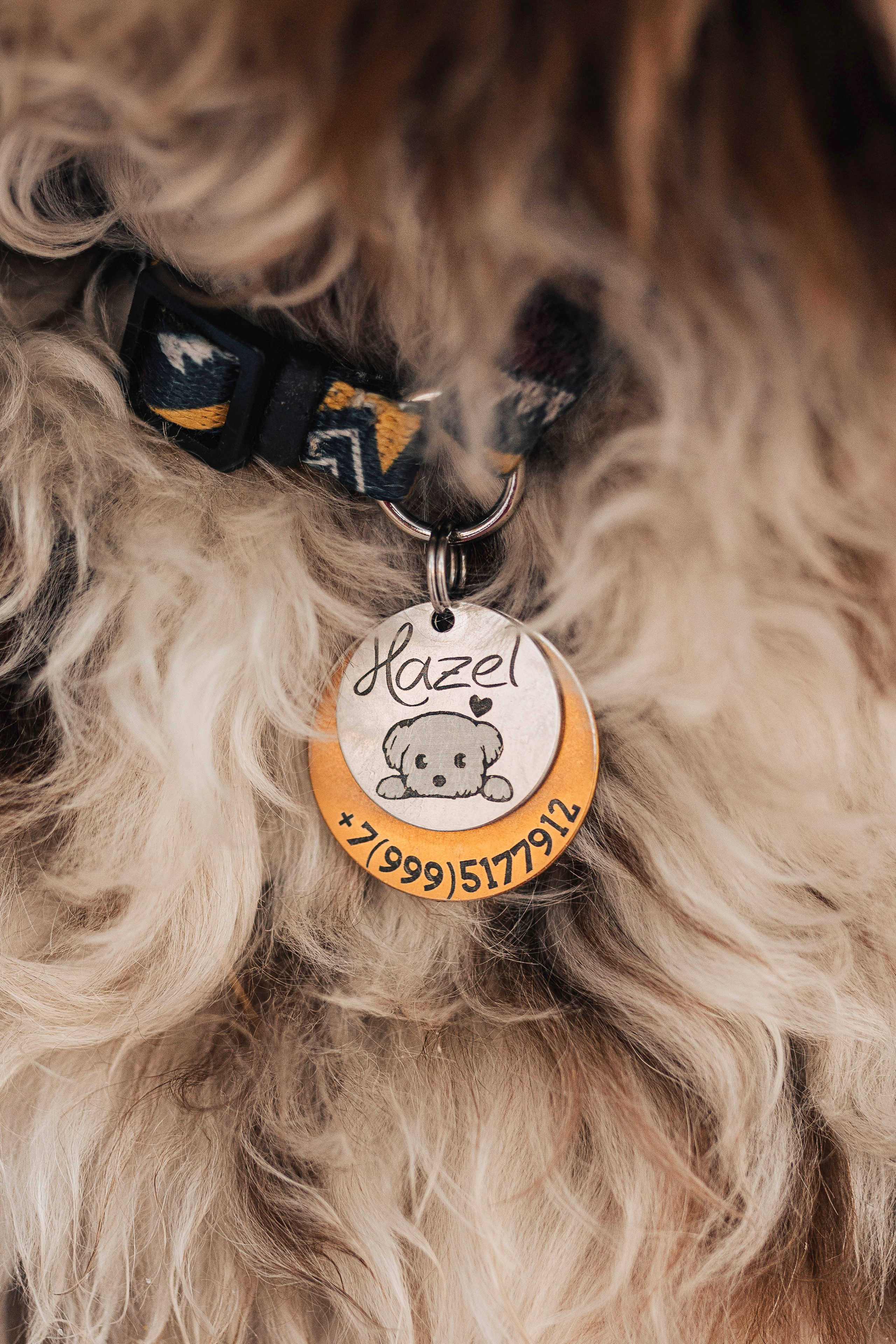 Хэйзел и её семья. Фотограф анималист в Спб недорого Олеся Майорова