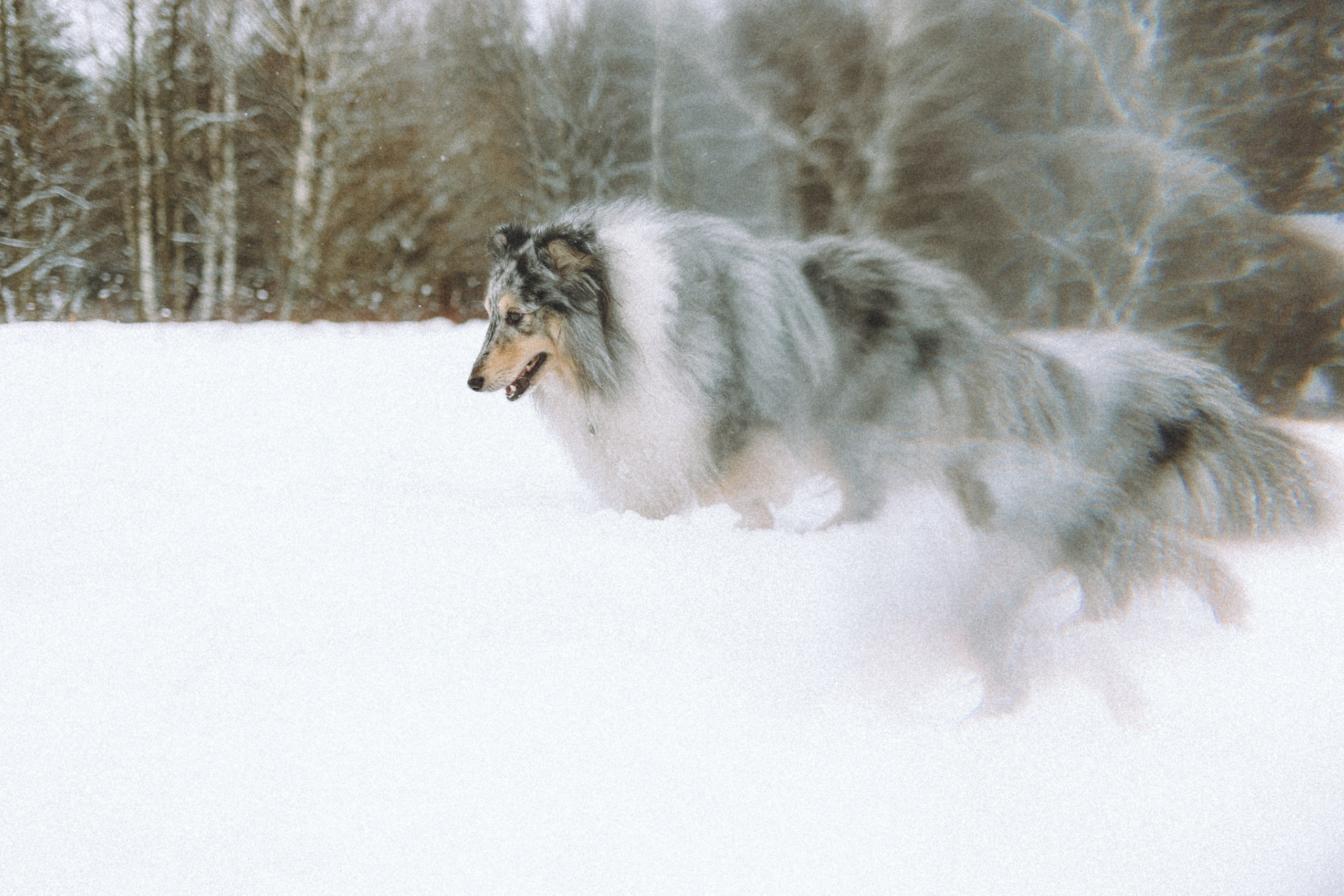 Как фотографировать зимой и сохранить технику?