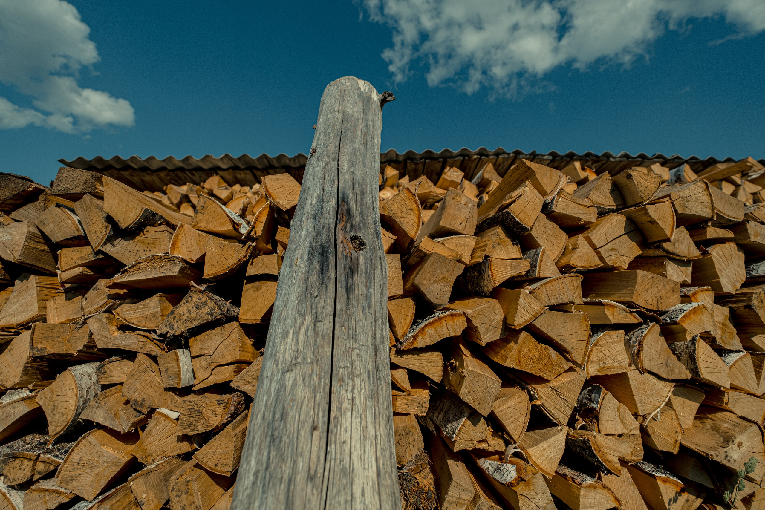 Фотографии Каргополя и красивые виды Русского Севера. Портретный, репортажный и пейзажный фотограф в Москве Сергей Арест