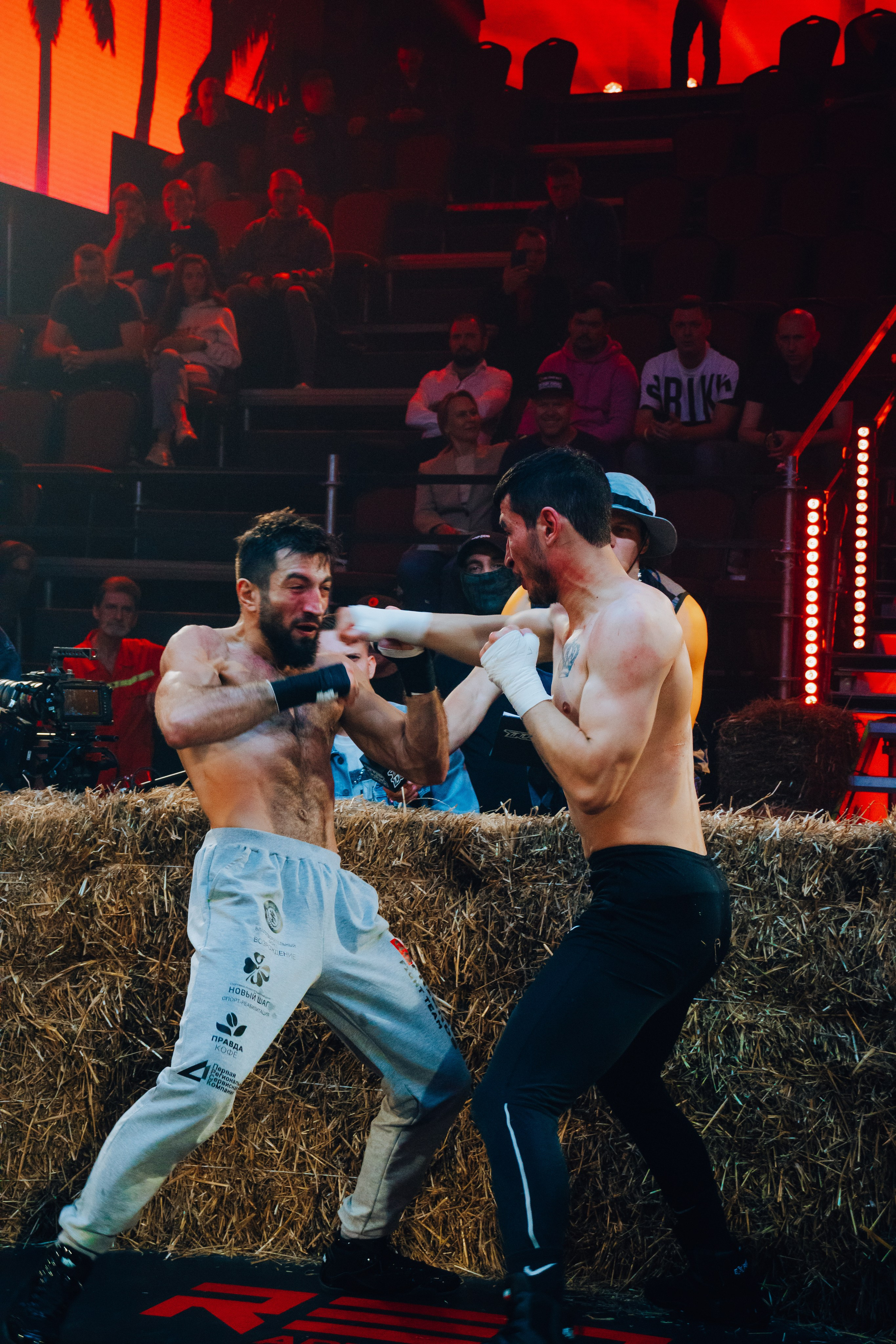 Кулачные бои TopDog. Анастасия Тен