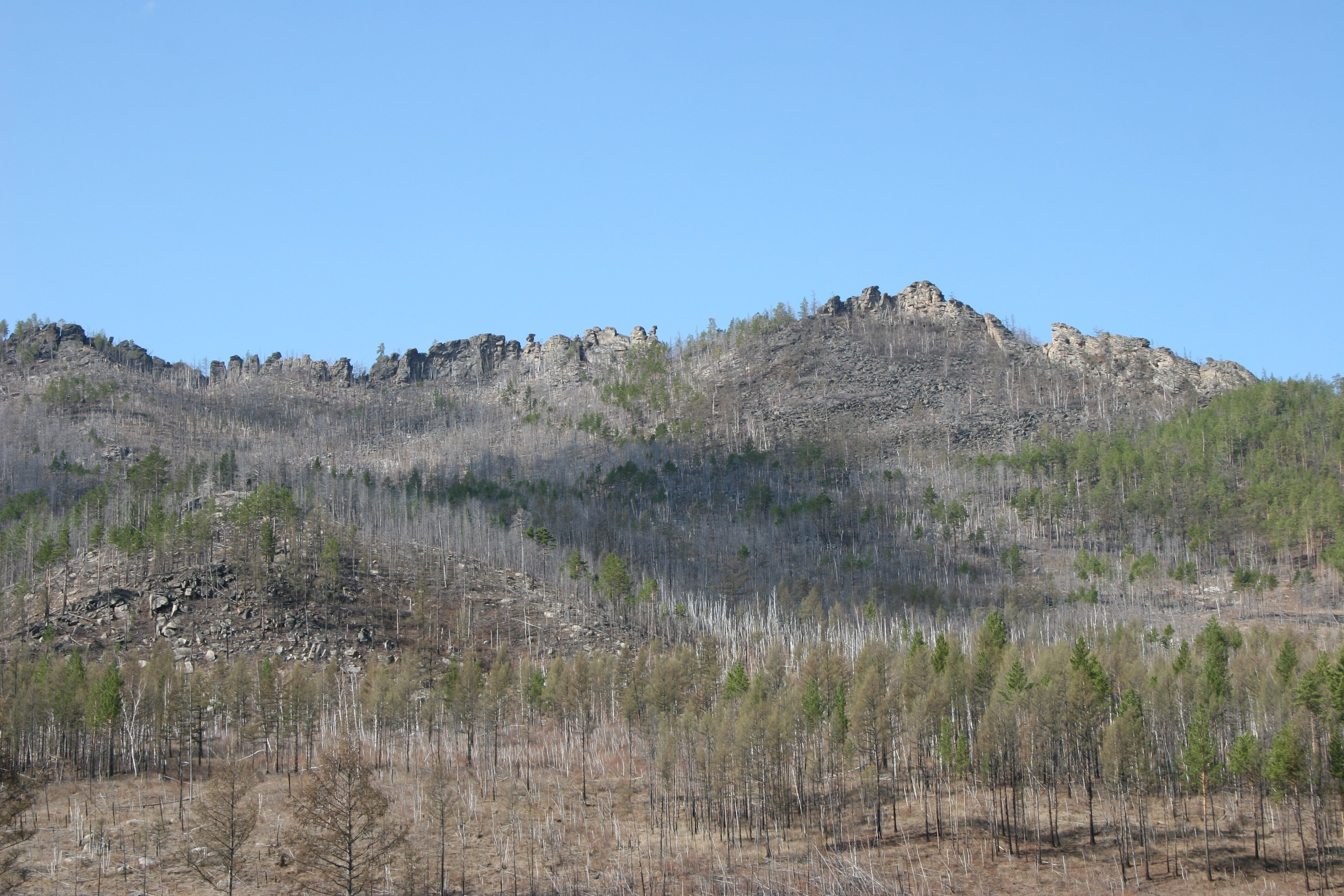 Фото Природы Забайкалья. Студия Максима Белослюдцева