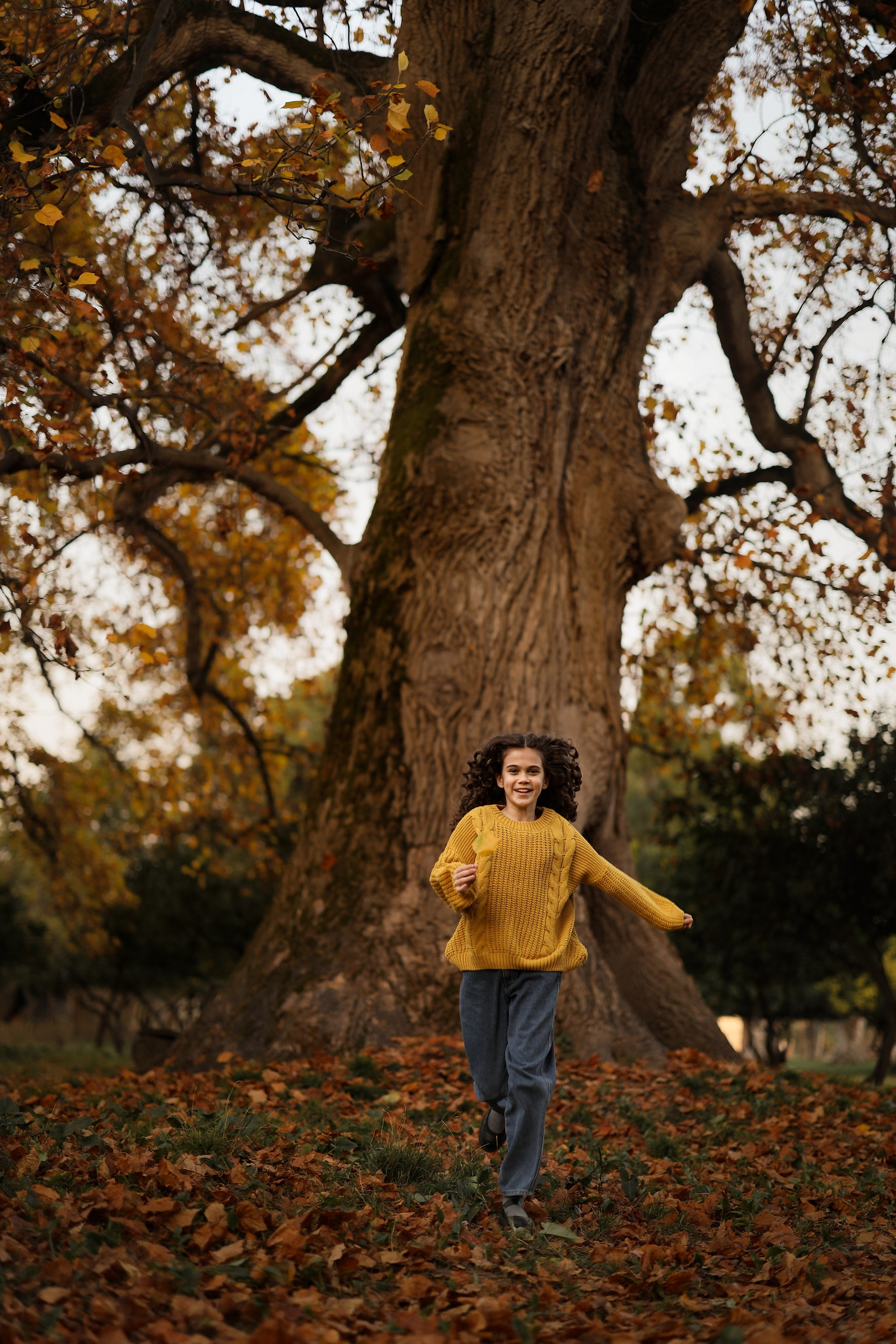 Осенняя фотосессия для Полины у древа патриарха в Сухуме. Свадебный и семейный фотограф в Абхазии Жанна Соснина