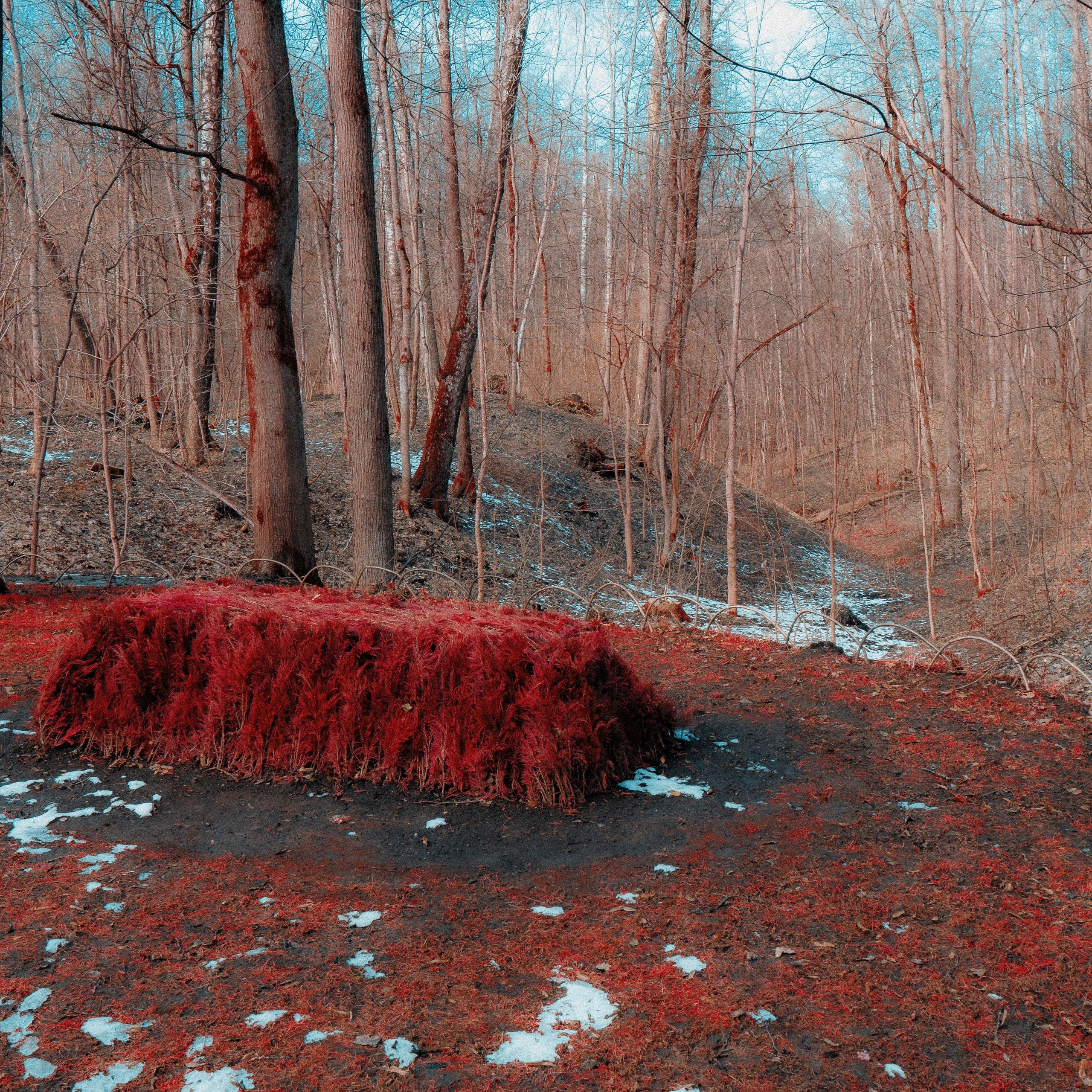 Тула '25. Фёдор Малюгин. Ваш бади в визуале