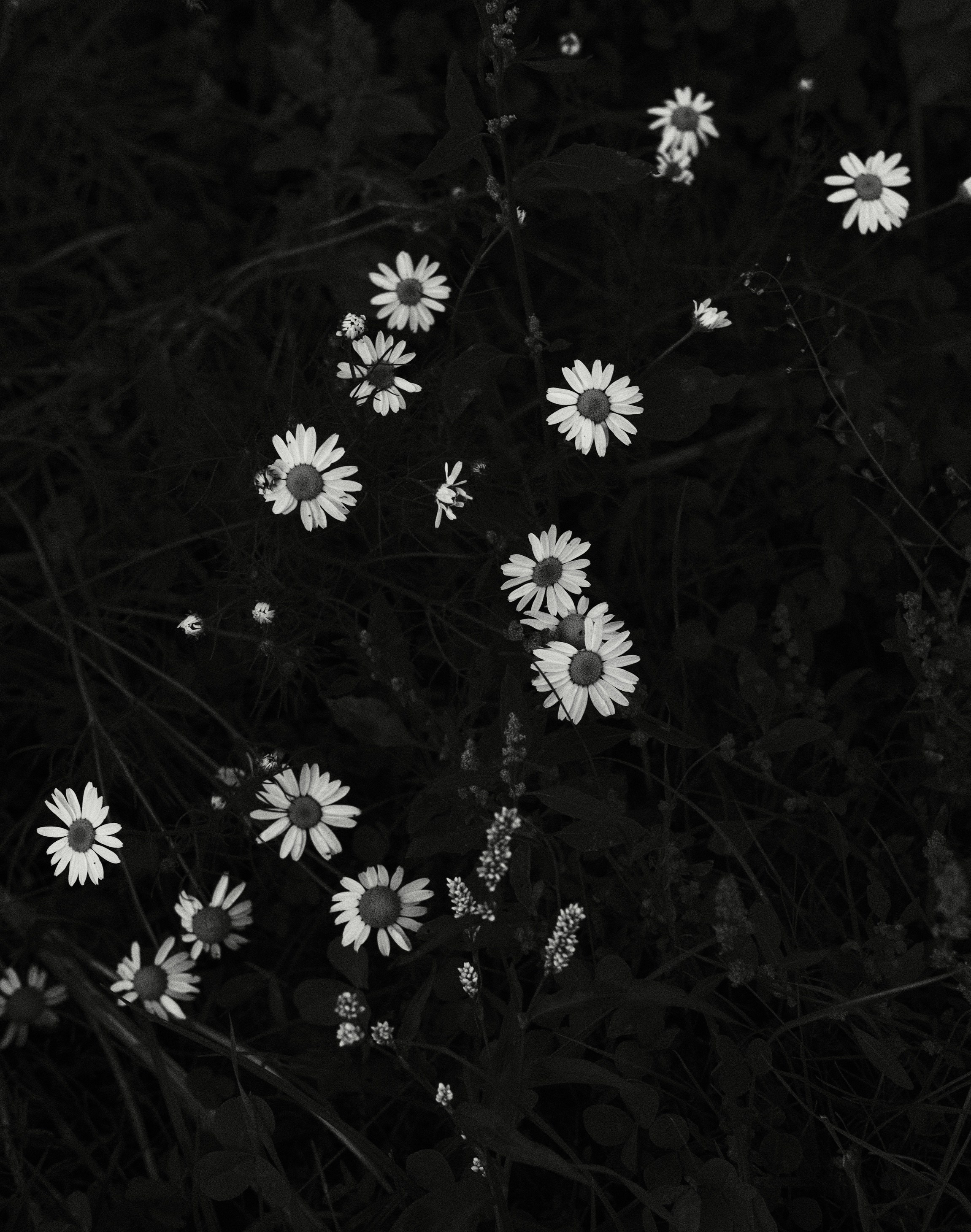 Крылатское. Фотограф Маргана Лоция