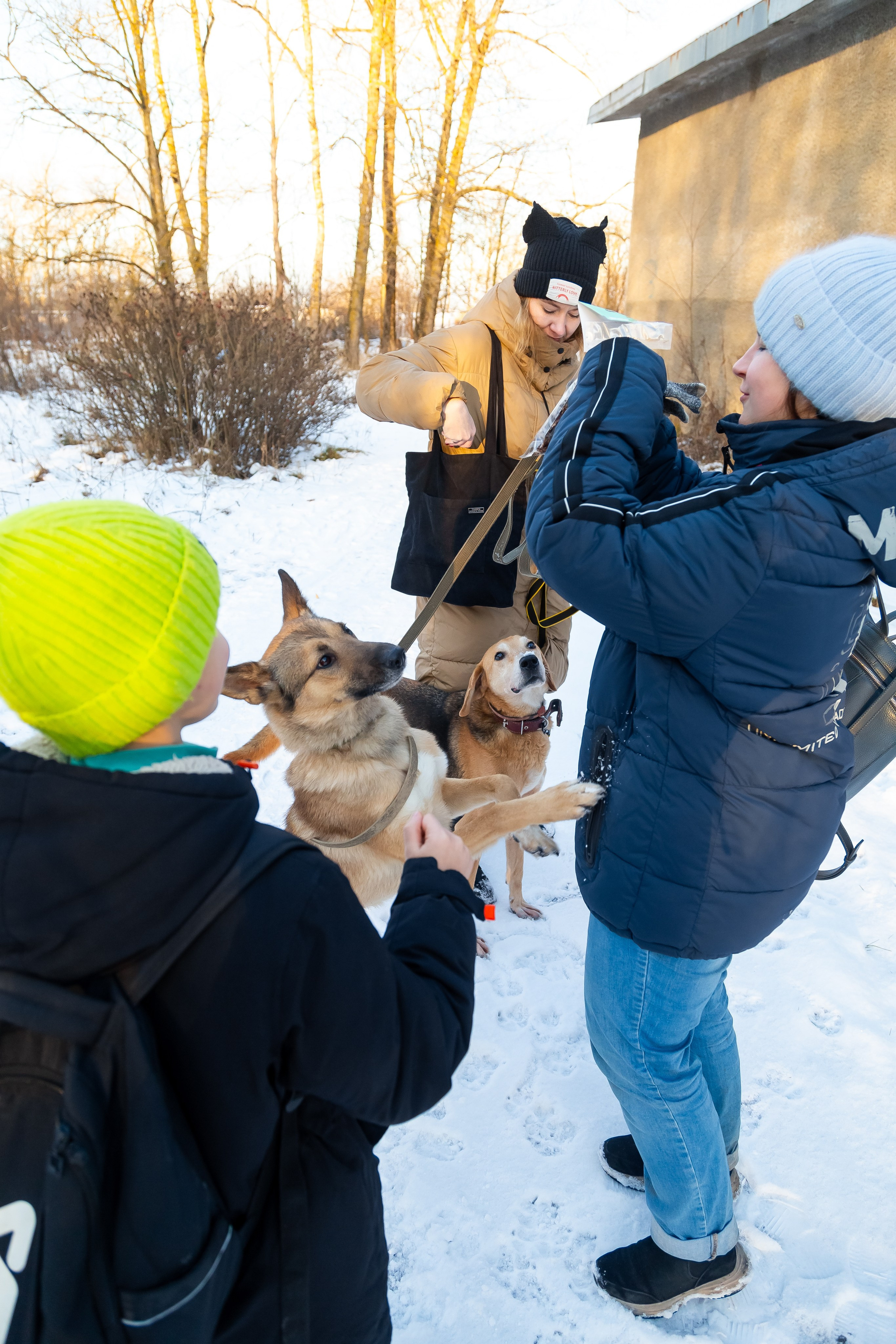 Petshop Забота. Фотограф в Санкт-Петербурге Чумаков Семен