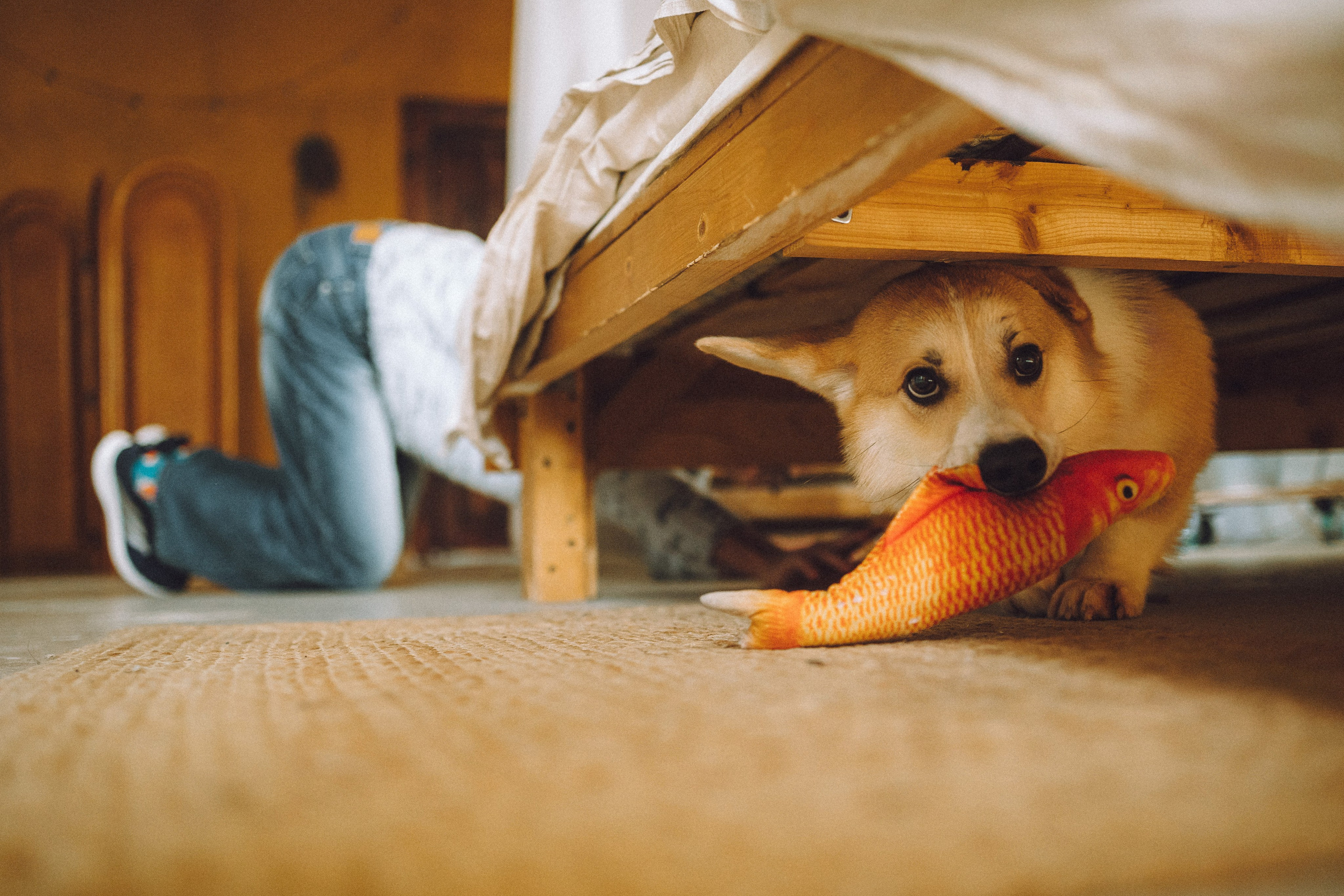 Наталья, Евгений и Мерлин
