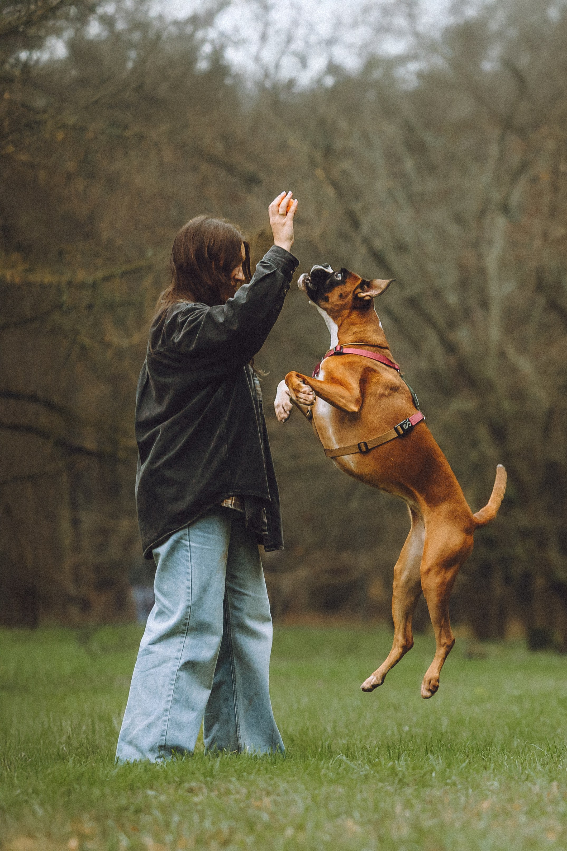 Элли и ее семья