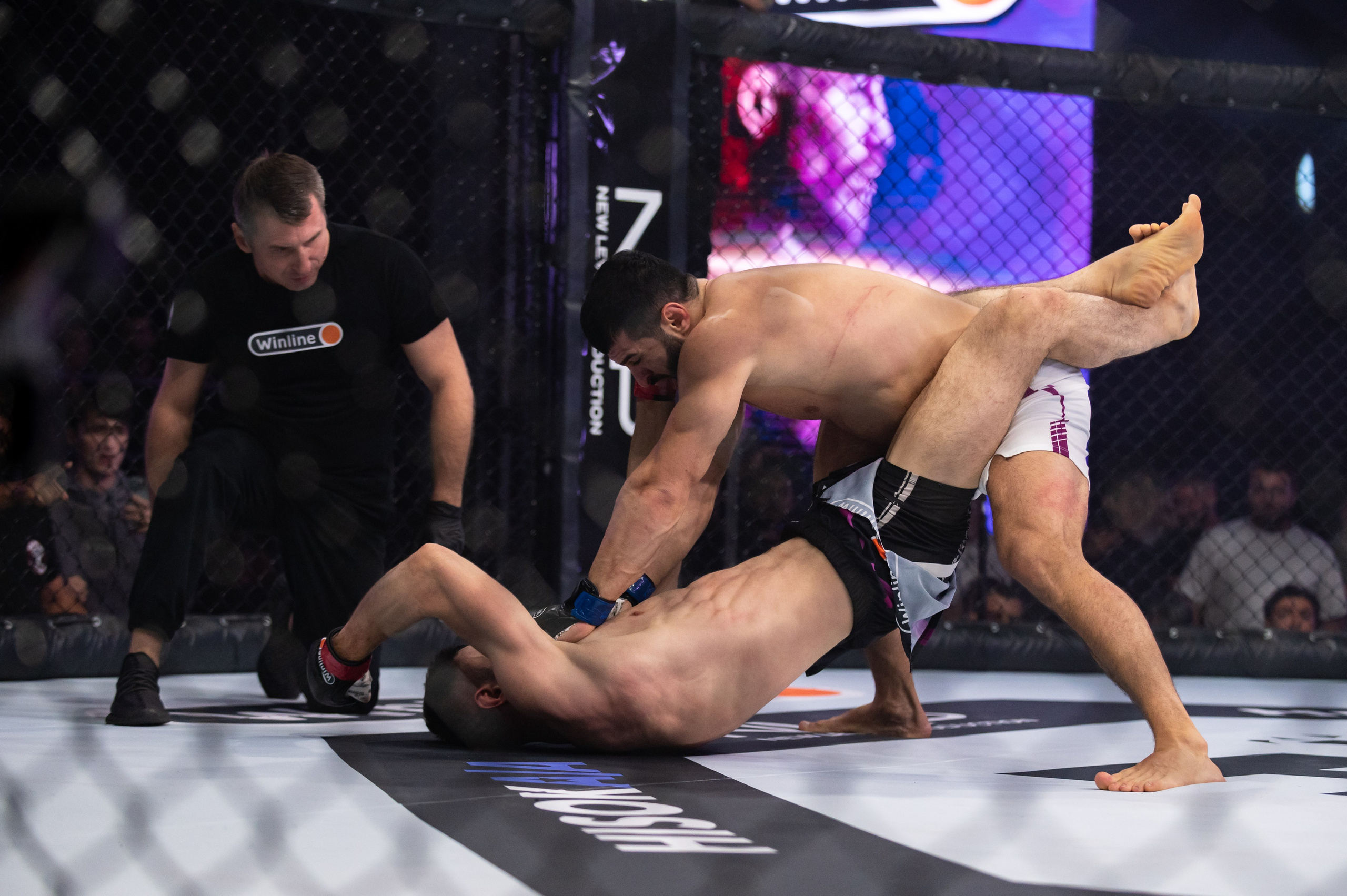 Бои. Репортажный фотограф в Красной Поляне и Сочи Павлюченко Екатерина