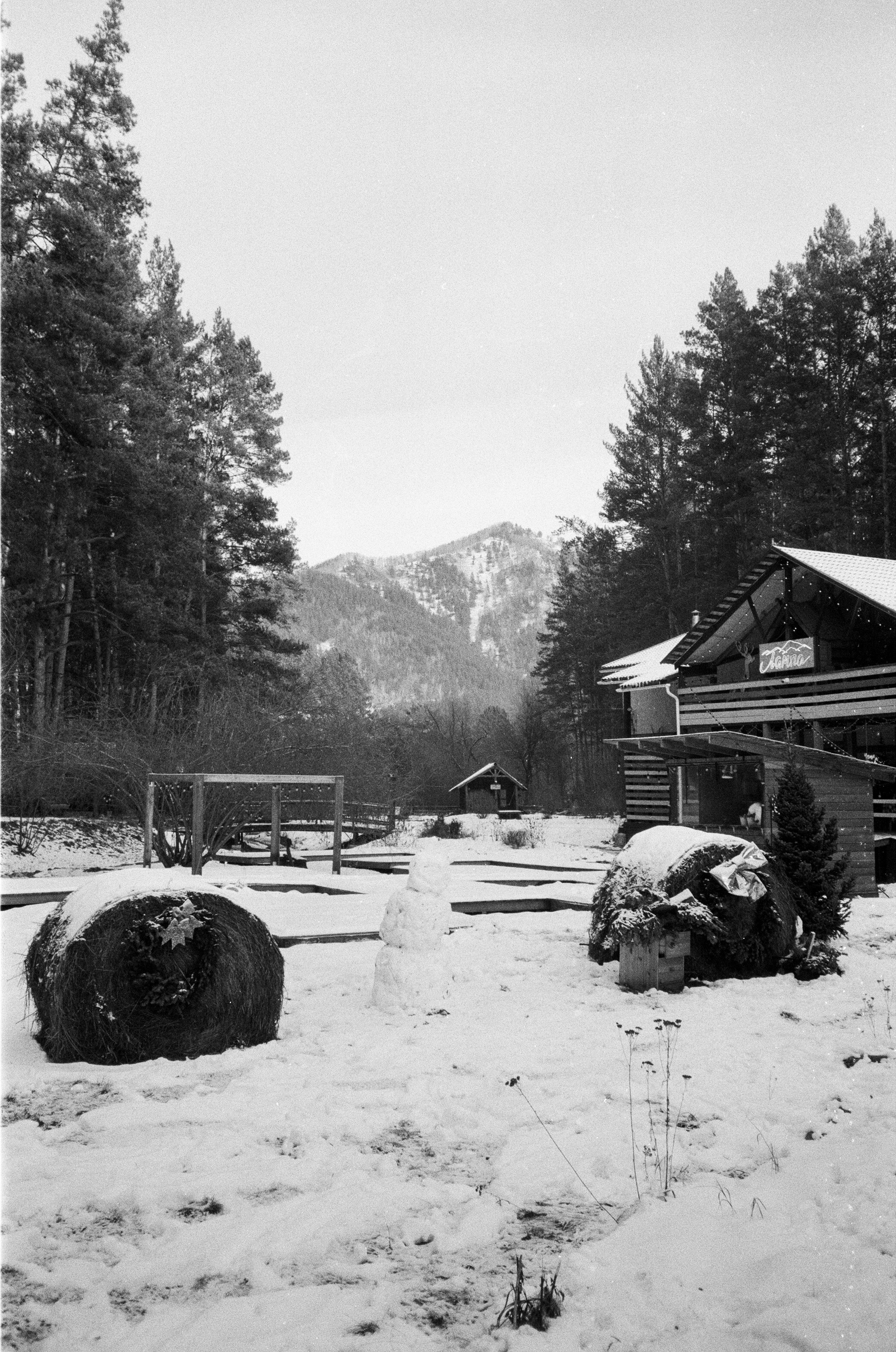 Olympus AF-10 SUPER / Ilford PAN 400 / Алтай, зима 2023 год