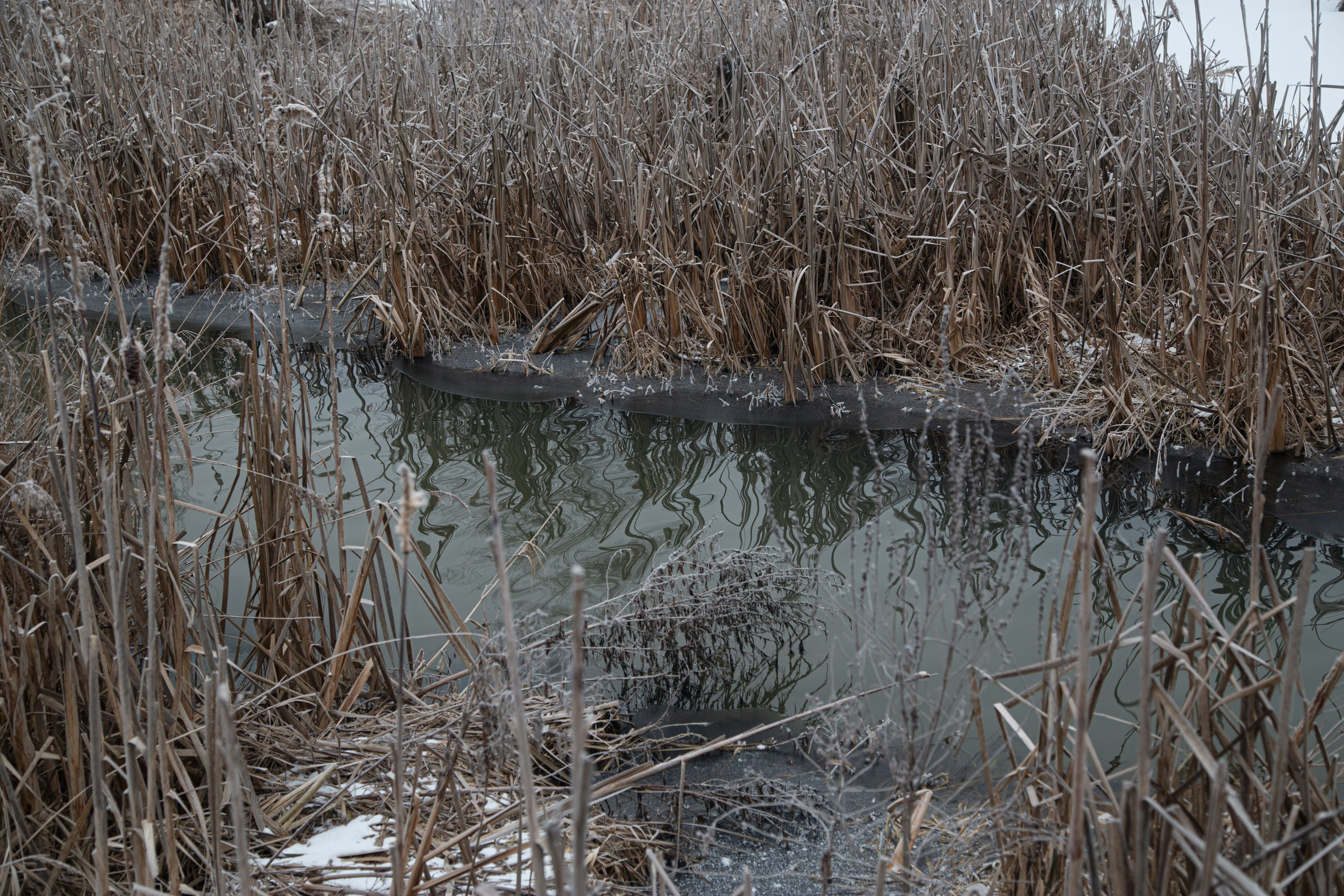 Воздух февраля. Dmitriy [KCCC] is a pretty cool photographer