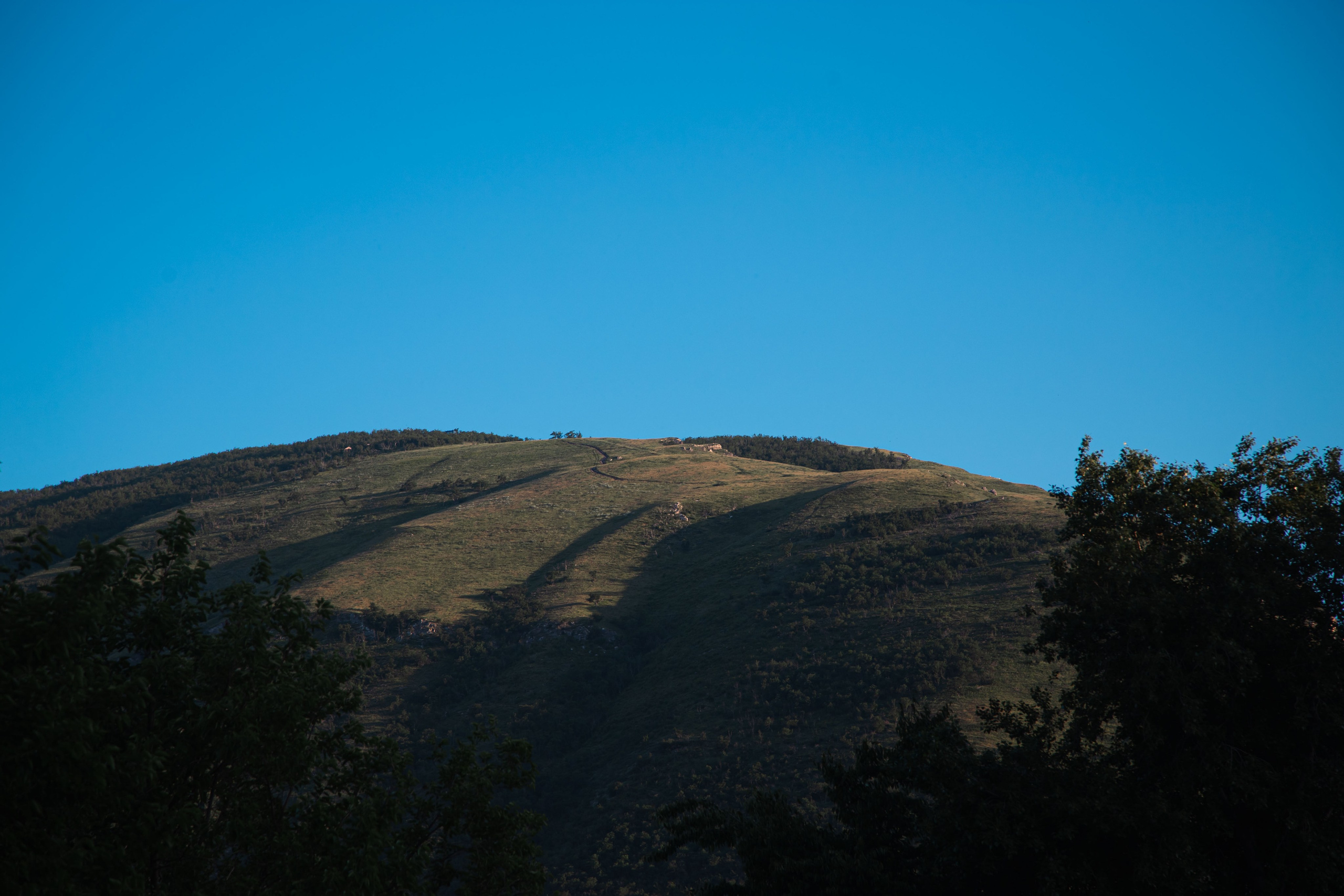 Главрыба. Dmitriy [KCCC] is a pretty cool photographer