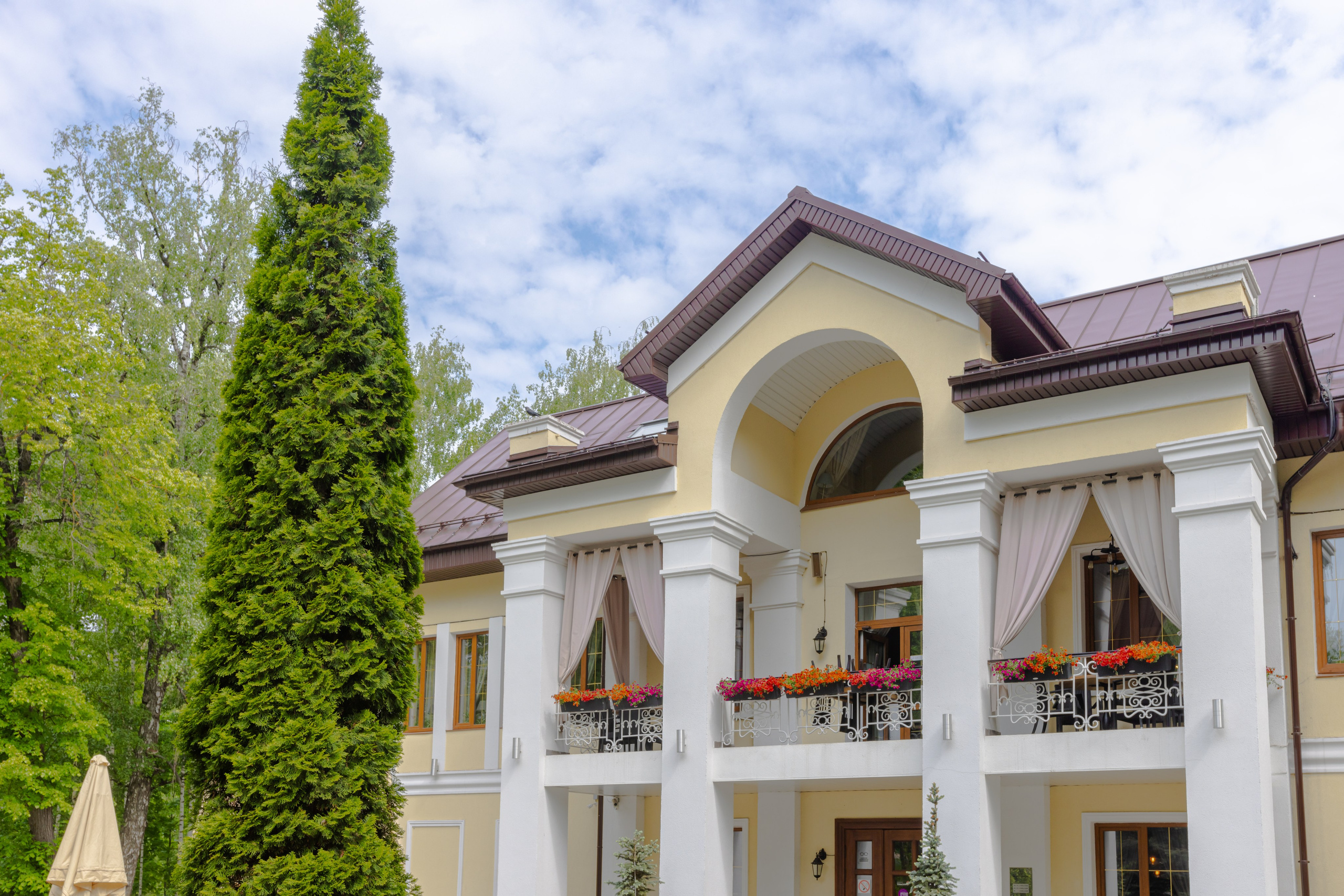 Парк им. П. П. Белоусова г. Тула 2024 г. Фотограф в Туле Крупский АнДРей. Фотостудия «КАДР71» в Туле