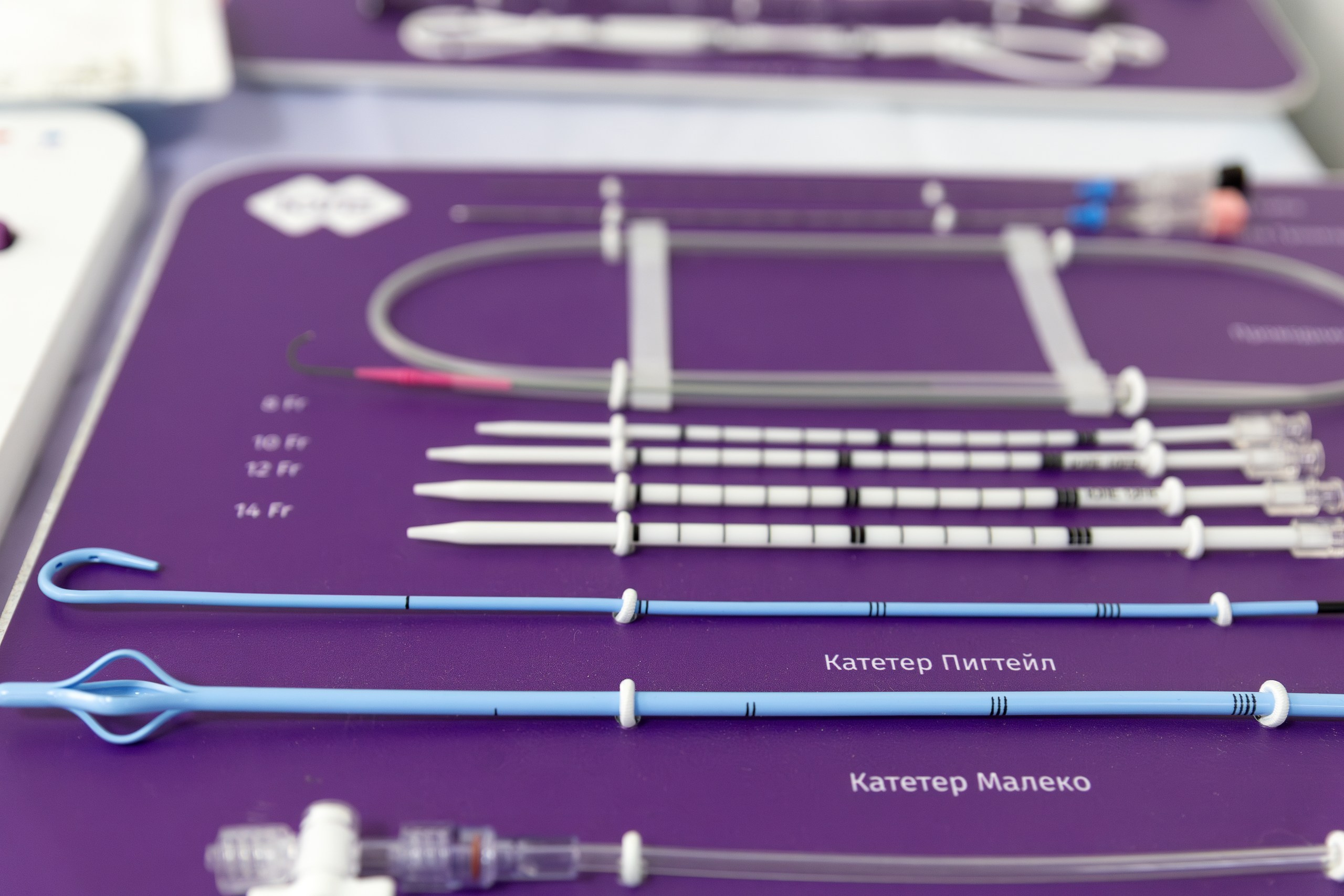 Конференция «Научный мост» Кемерово-Томск. Портретный фотограф, бизнес-контент Кемерово Уфимцева Ирина