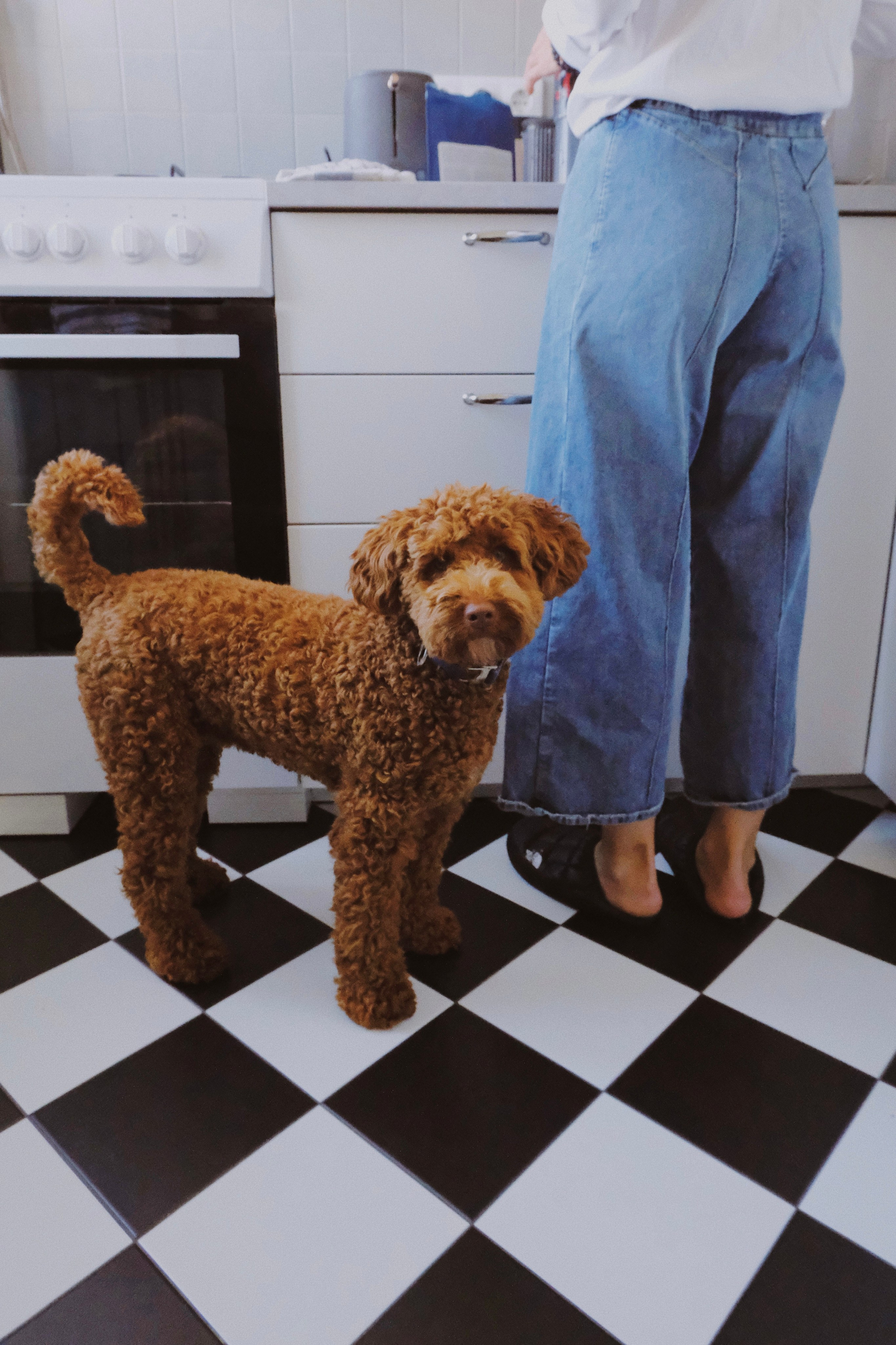 Дома. Татьян гертье