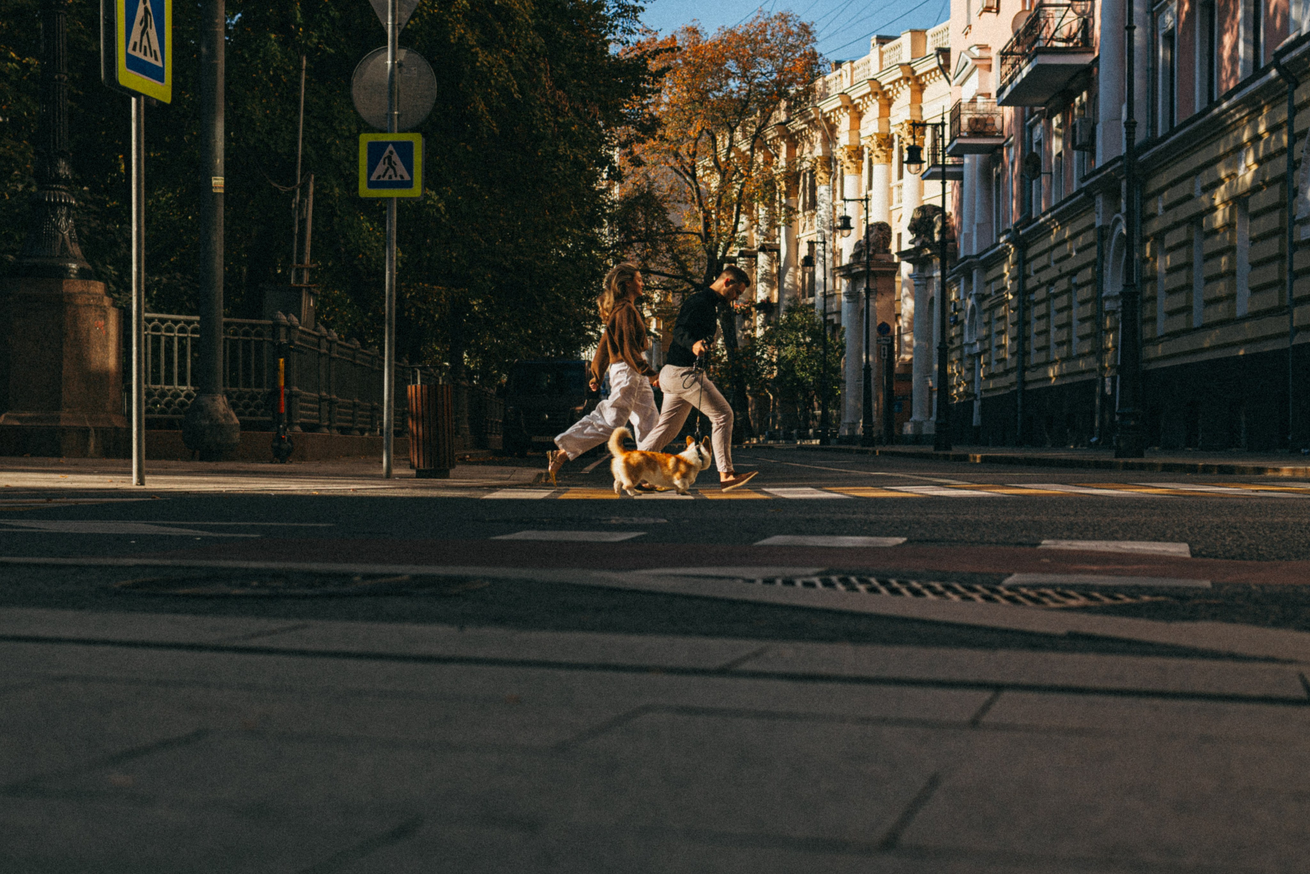 Даша, Рома и Лесли. Фотораф — анималист Мария Шистка