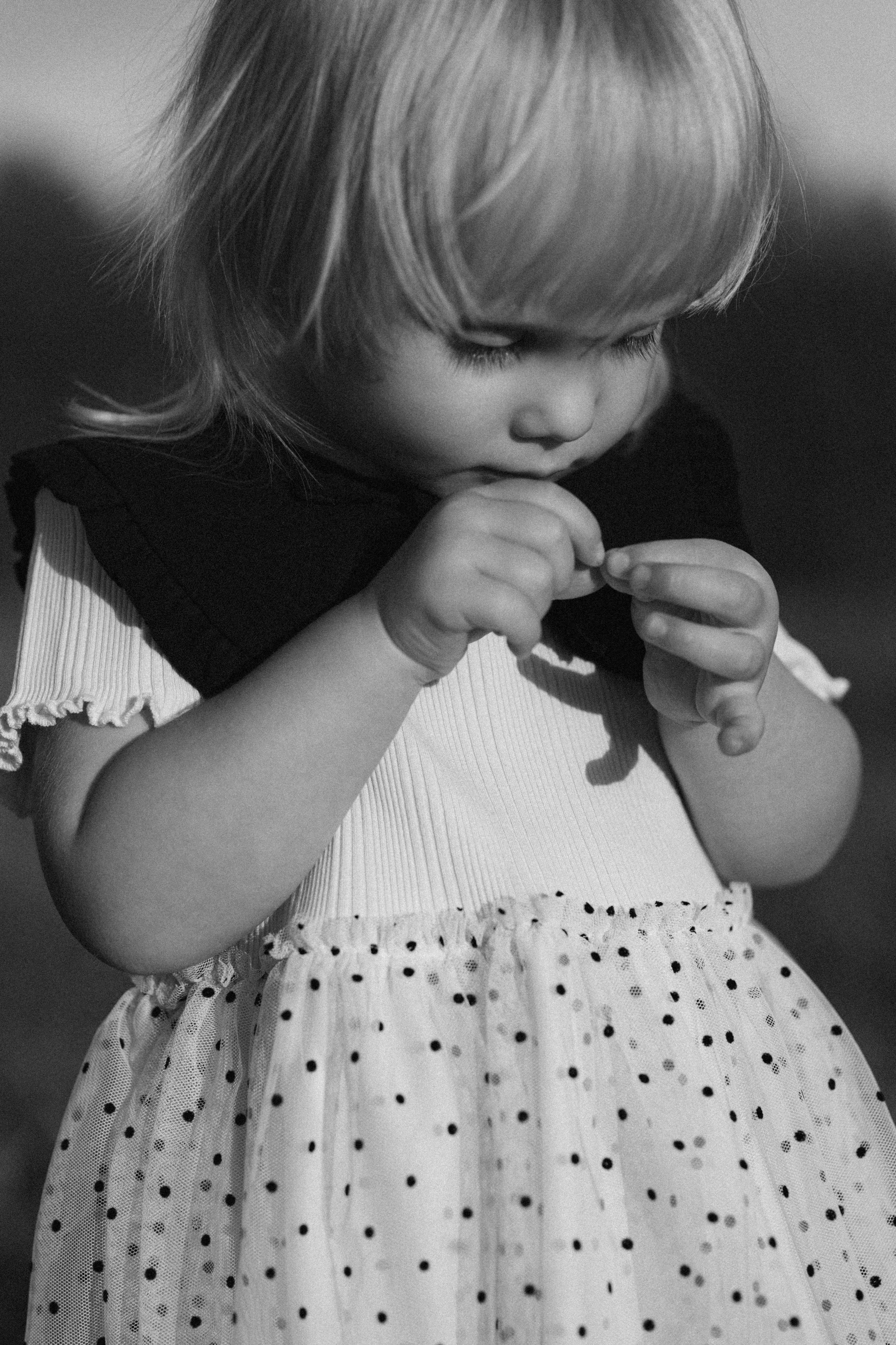 ДУБЫ. Cheta Kovalevsky фотографы