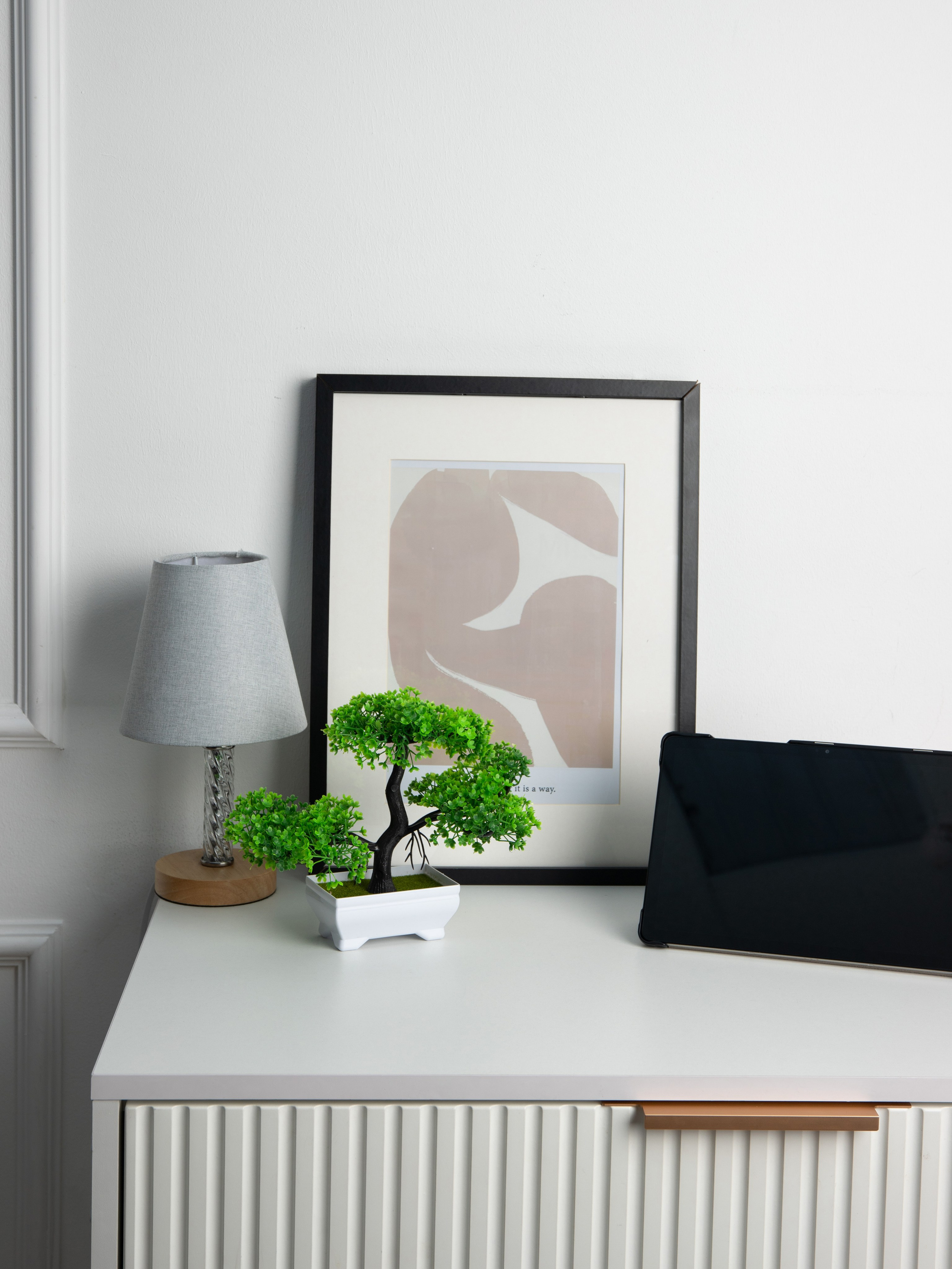 Декоративные деревья. Коммерческий фотограф в Санкт-Петербурге (СПб) Екатерина Панчёха, Панчёшка