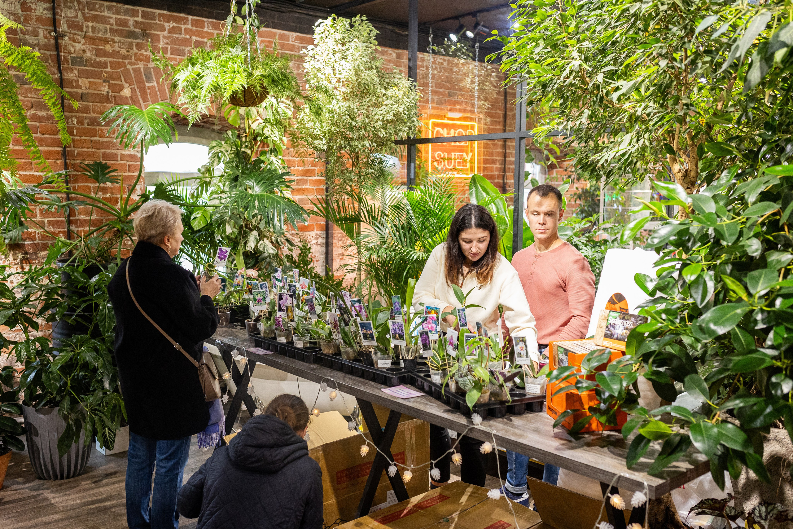 GreenRare ярмарка 2024. Александра Куликова фотограф, Москва