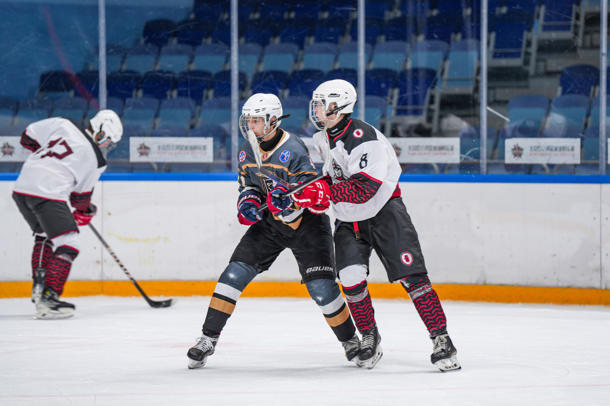 Витязь Подольск — Балашиха. Автомобильный фотограф Шакая Кирилл