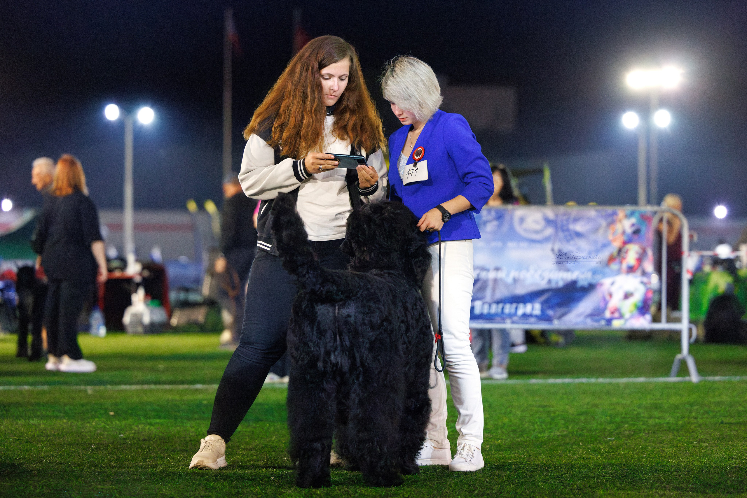 Волгоград 2-4.08.2024. Фотограф-анималист Юлия Германика