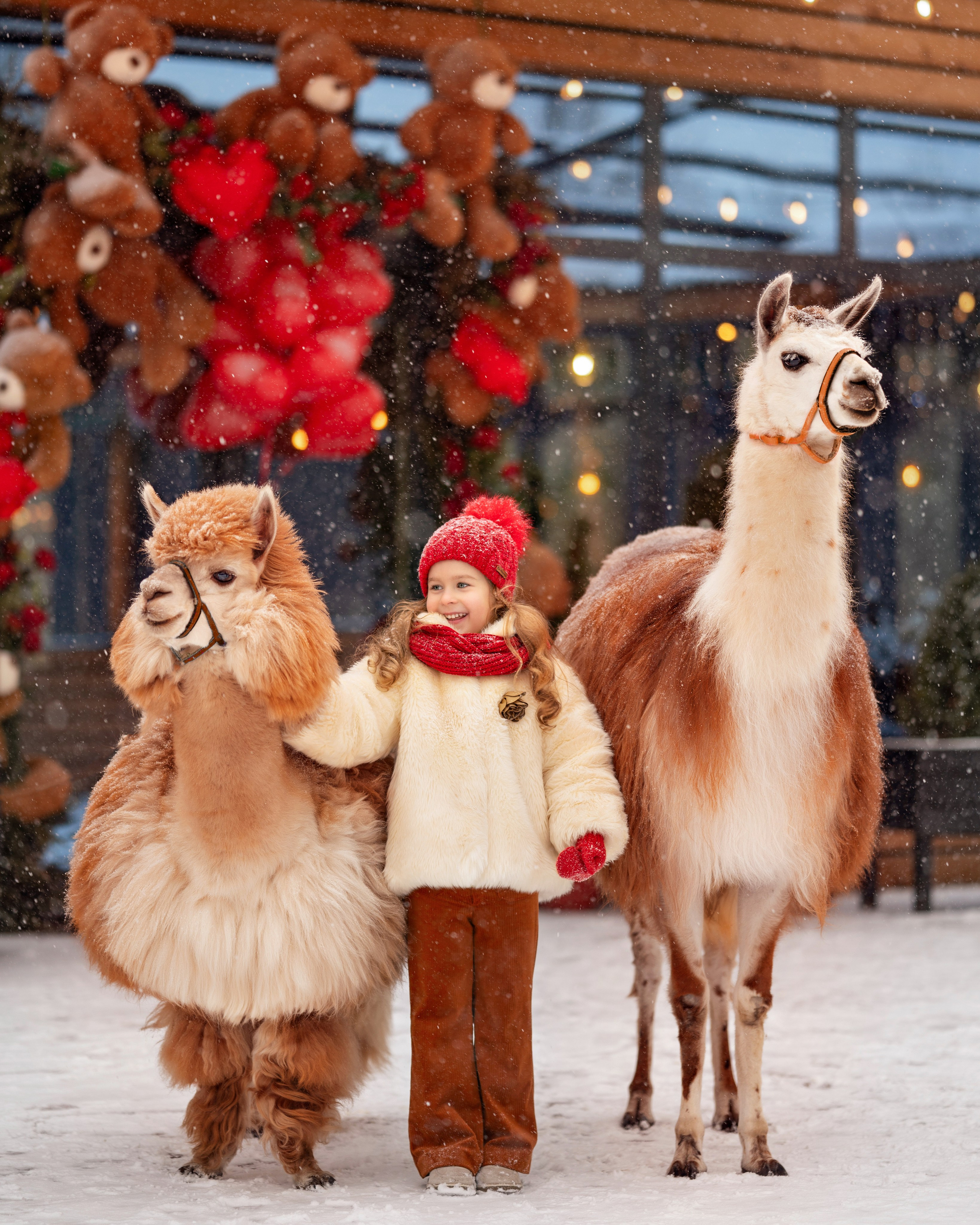 Фотосессия с альпаками в  YOO студии. Детский и семейный фотограф г. Москва Оксана Катаджи