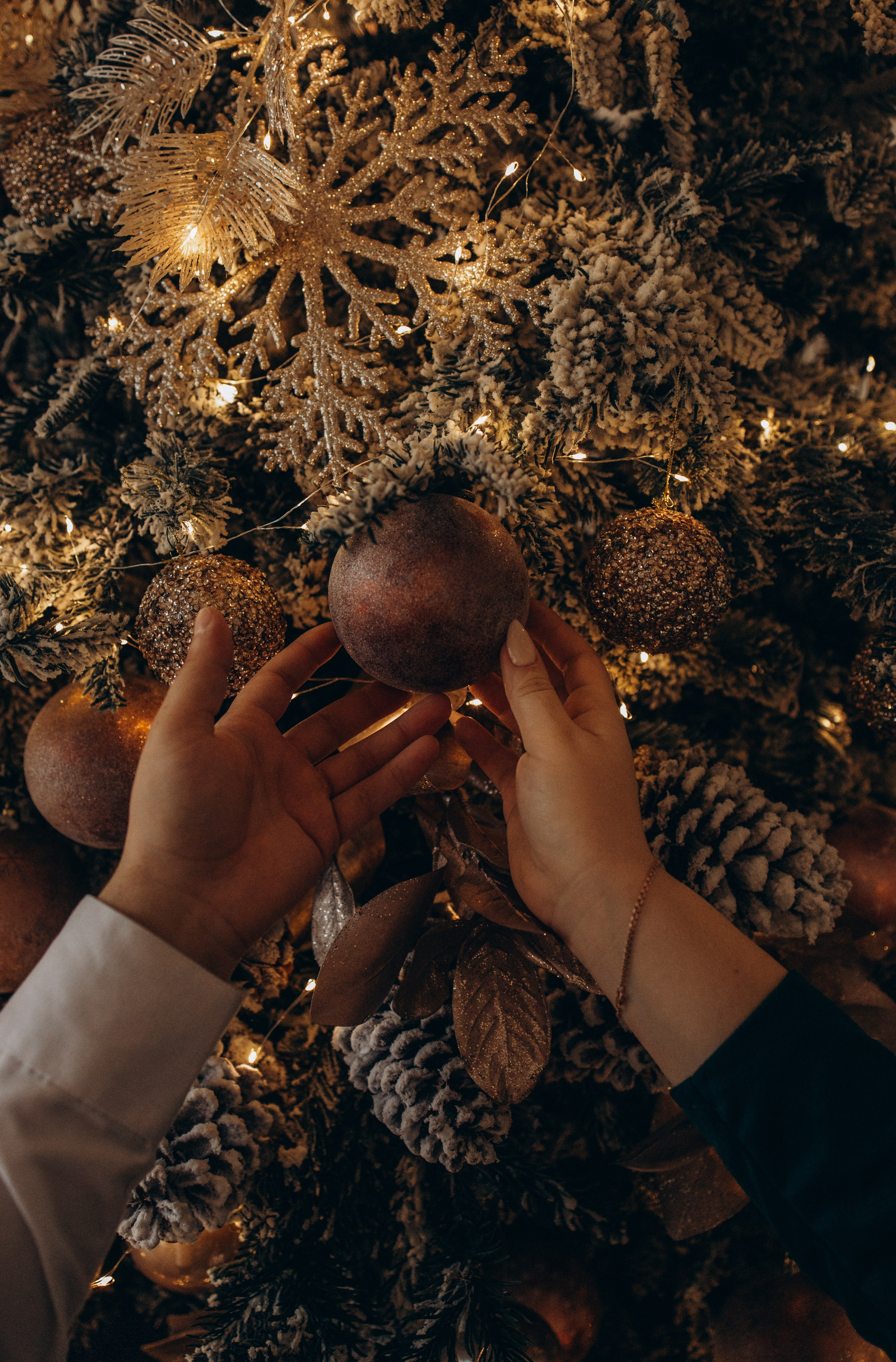 Новогодняя. Фотограф Ярославль|Кострома|Нерехта Гундерина Светлана