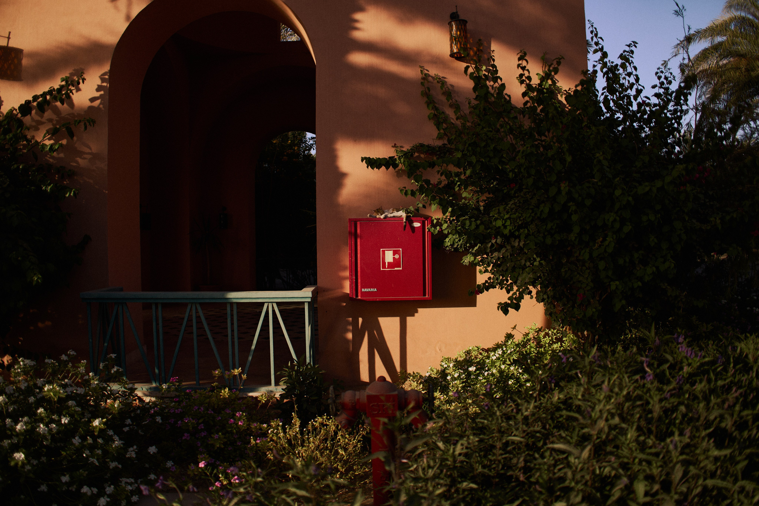 Улица горизонтальная. Jorgis — фотограф в Хургаде / обучение фотографии