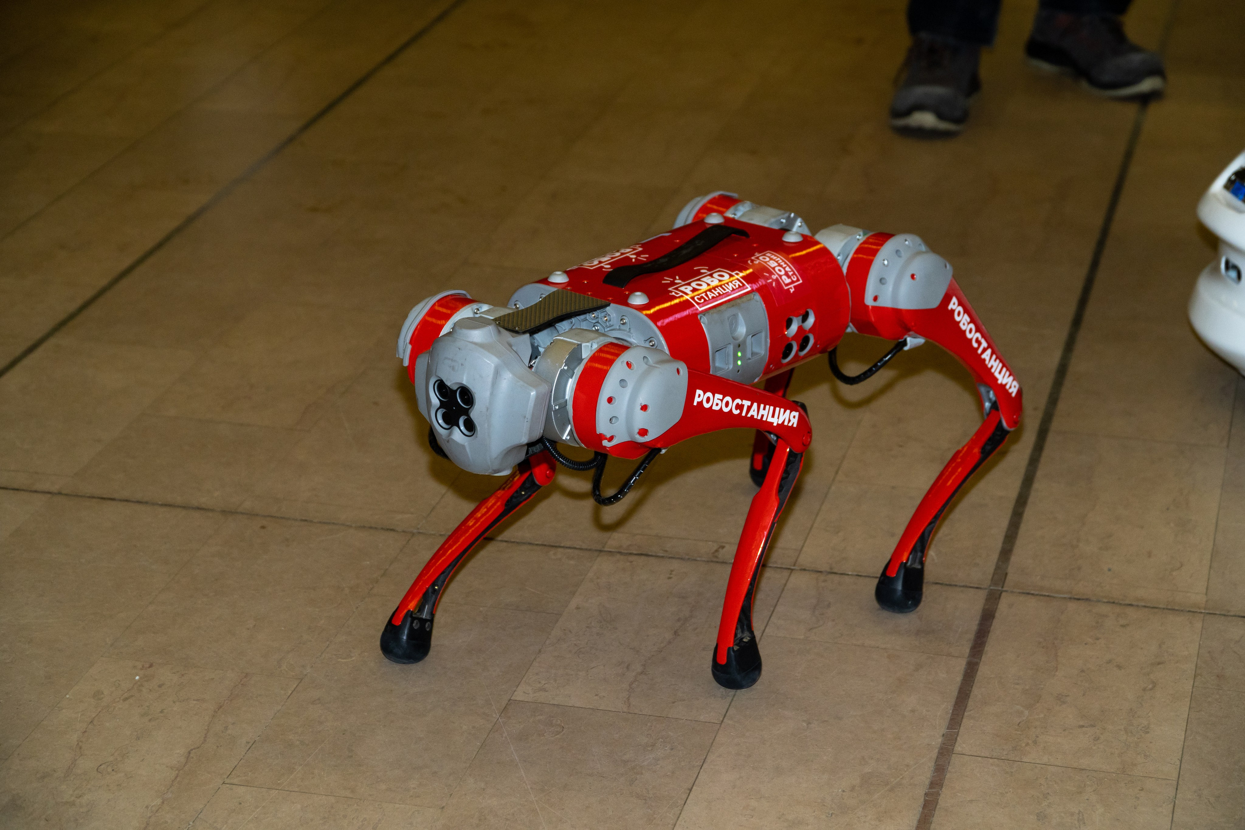 Съёмка концерта для Домисольки, большой концертный зал Космос. «Студия DRONAVT`s» — видеосъёмка и фотография г. Москва