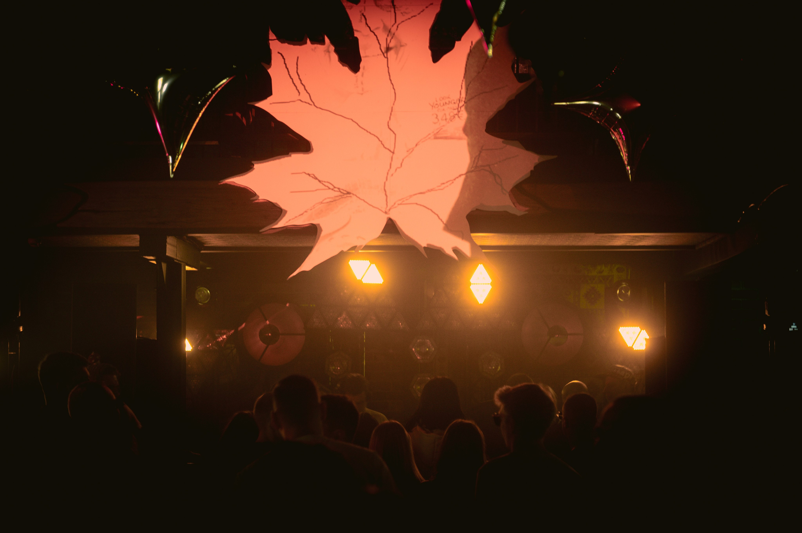 Funk and Beats. Архыз 24. Сайт фотографа Данилы Пащенко