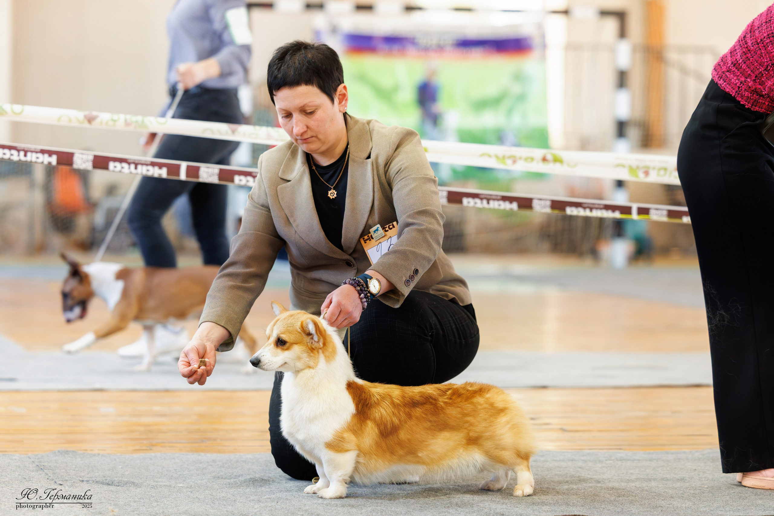 Тверь 12.04,Сфера 13.04,Сергиев Посад 19.04.2025. Фотограф-анималист Юлия Германика