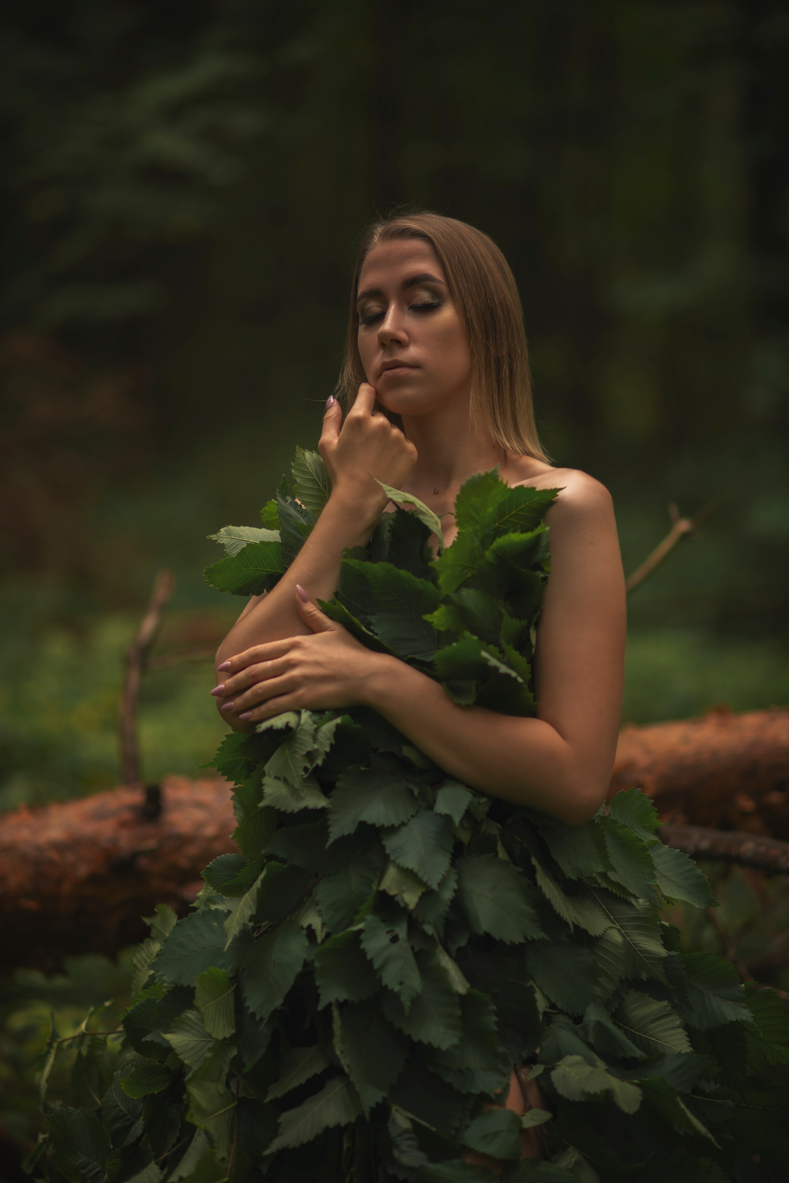 Лесная сказка