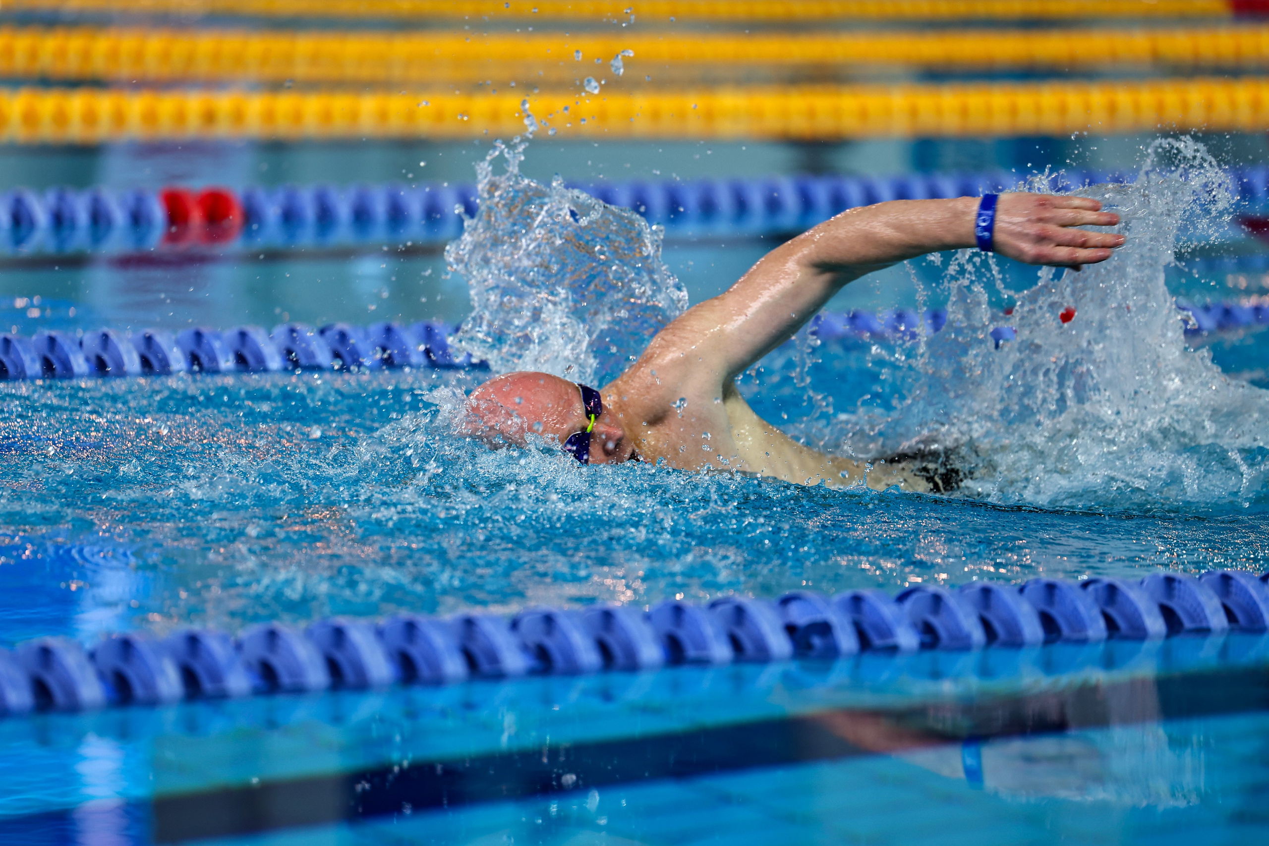 ДЗМ Плавание 2026. Фототерапевт Ева Бунеева