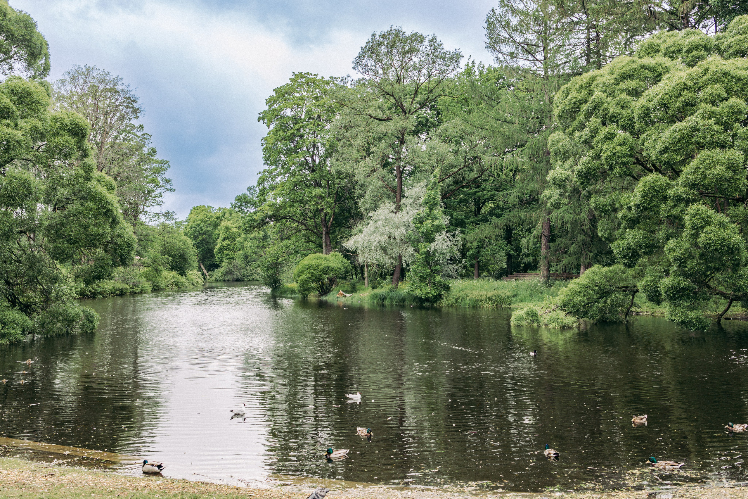 Шикарная пара в роскошном СПб!. Фотограф в Санкт-Петербурге и ЛО — Сергей Козлов