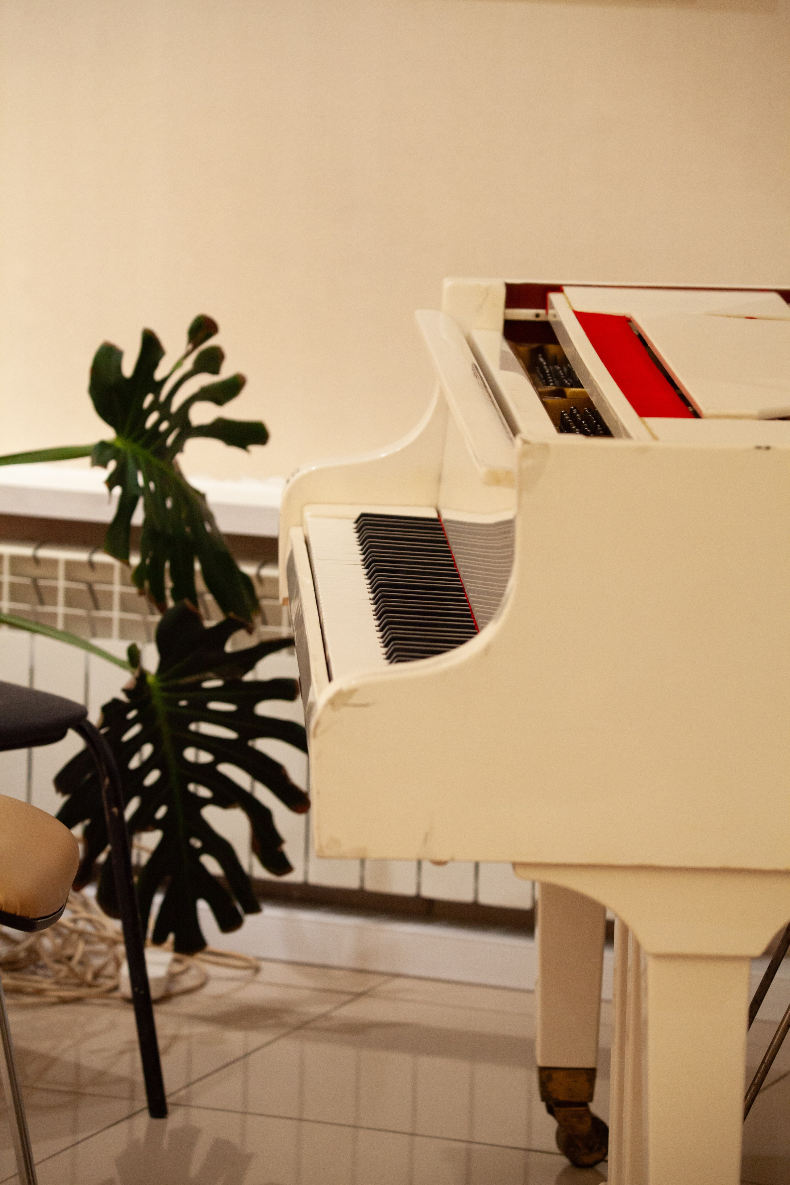 Студия «Маэстро». 18.02.24. Профессиональное фото в Казани: от идеи до результата. Фотограф Яна Мур