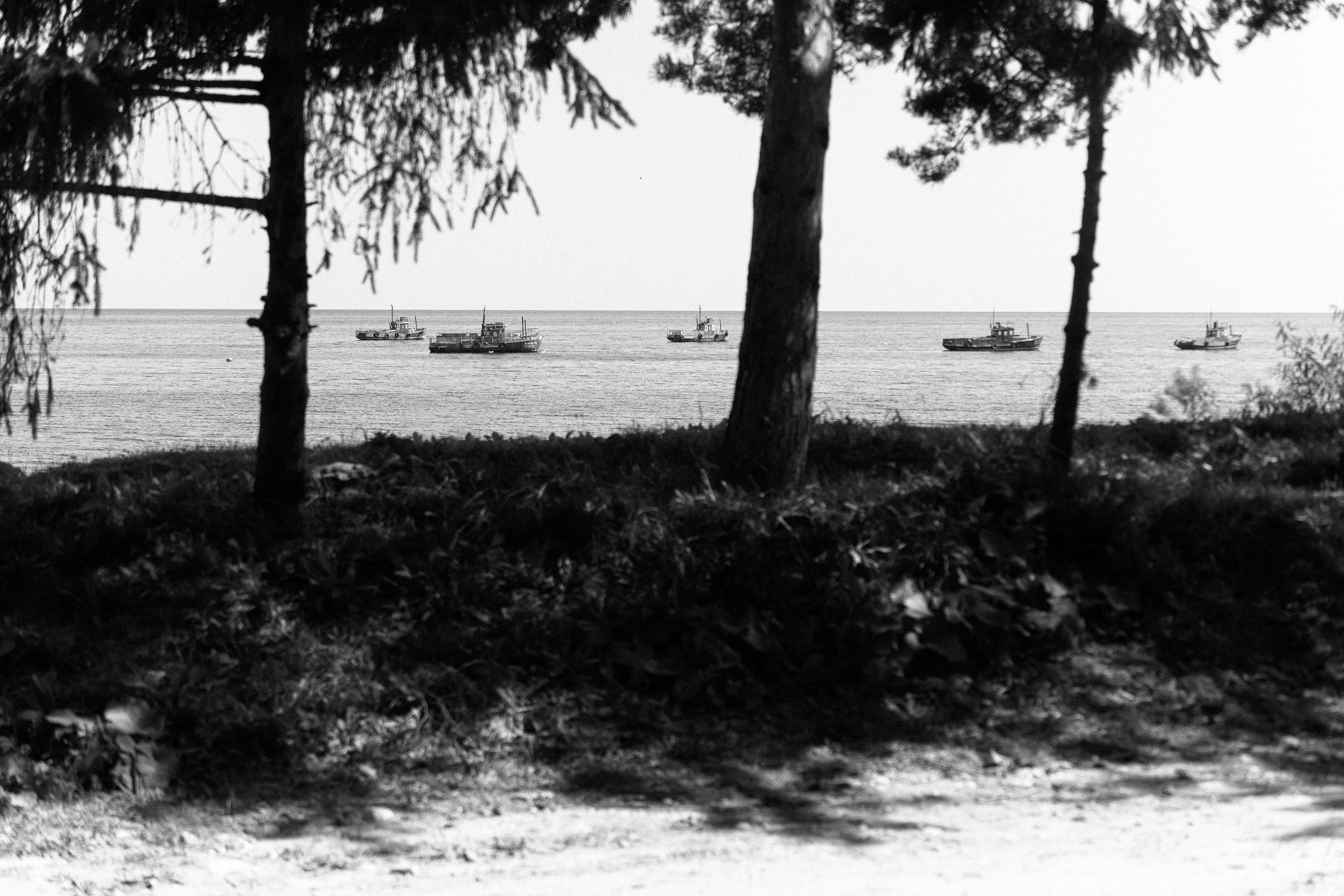 Ч.б. фотографии. Фотографии Лены Соколовой