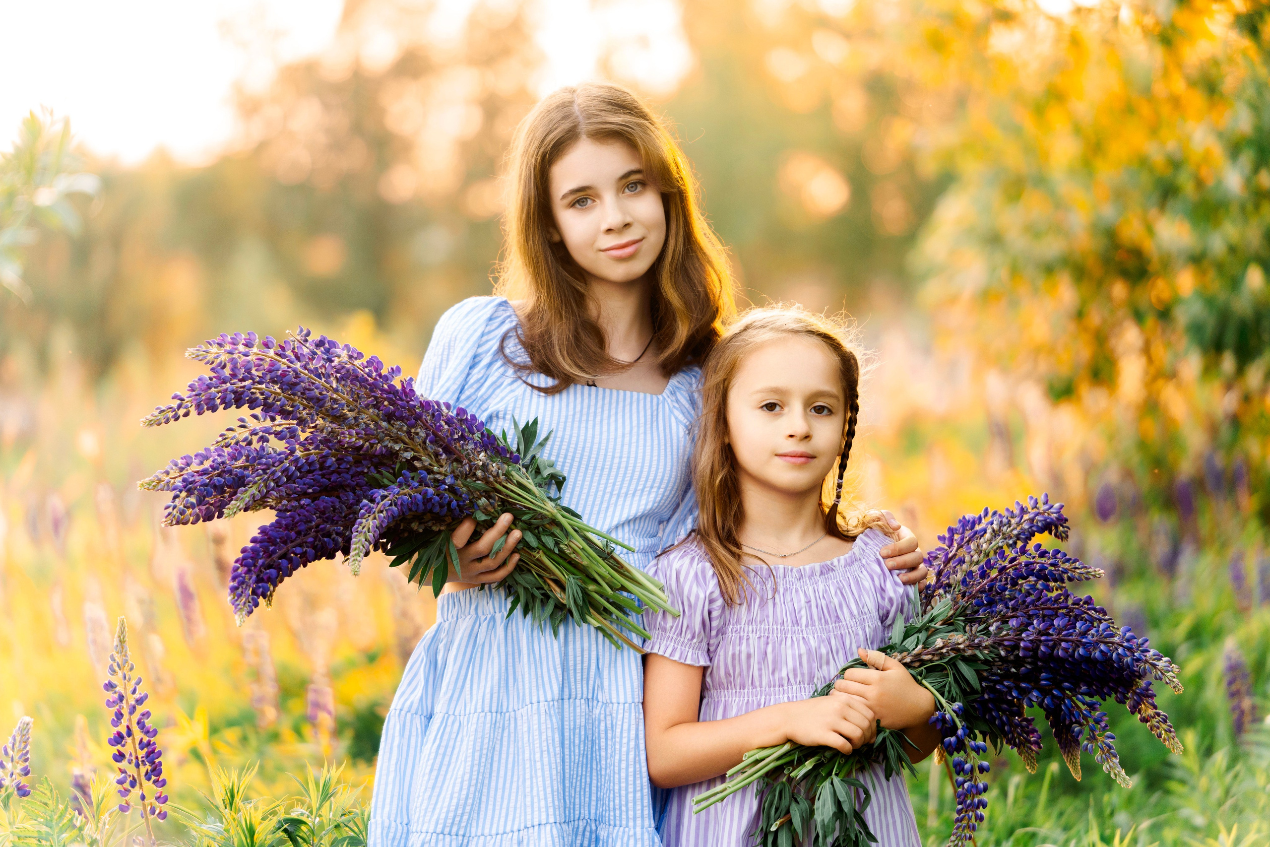 Люпины. Фотограф Юлия Попова