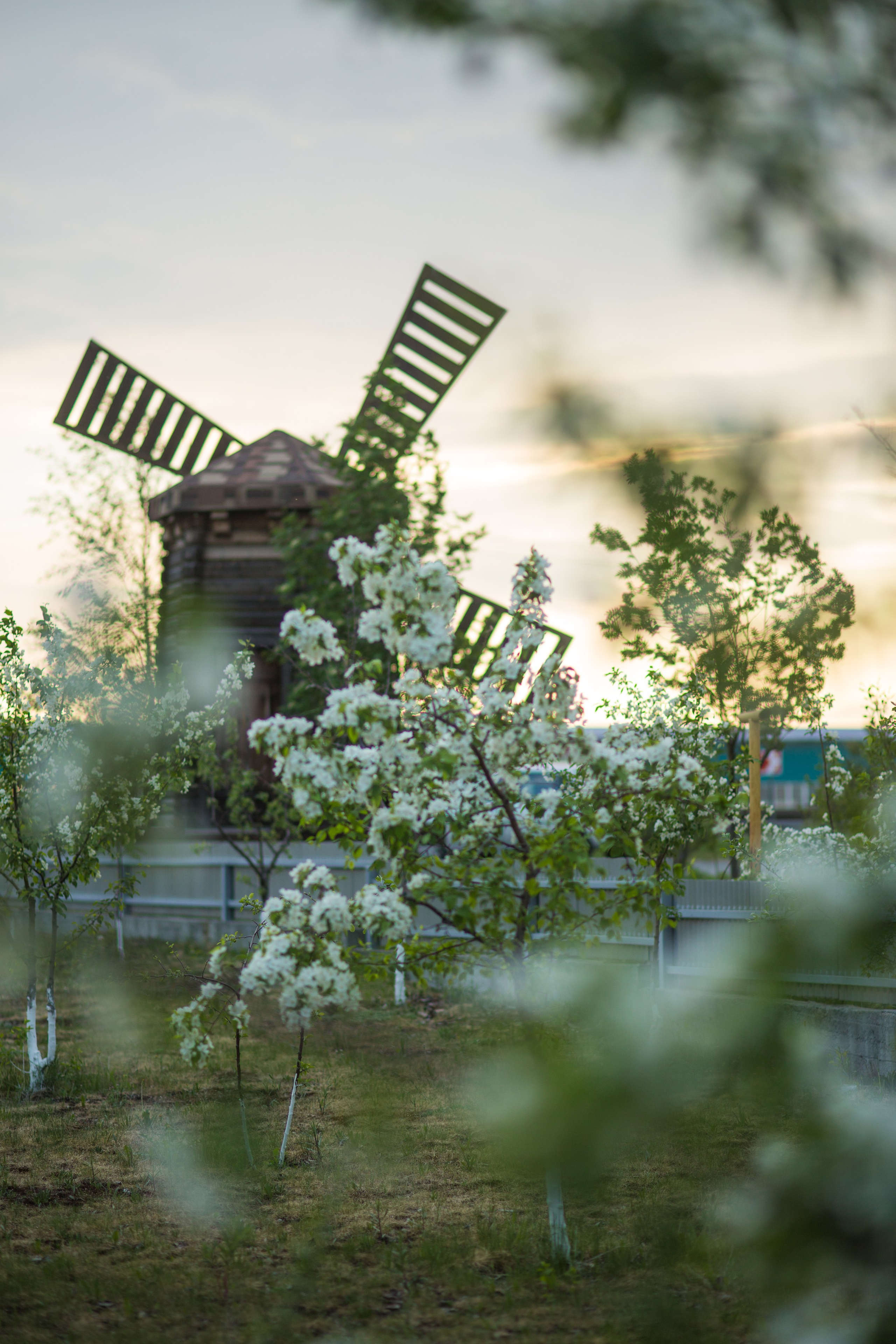 Сургут. Фотограф в г. Сургуте Марина Киприна