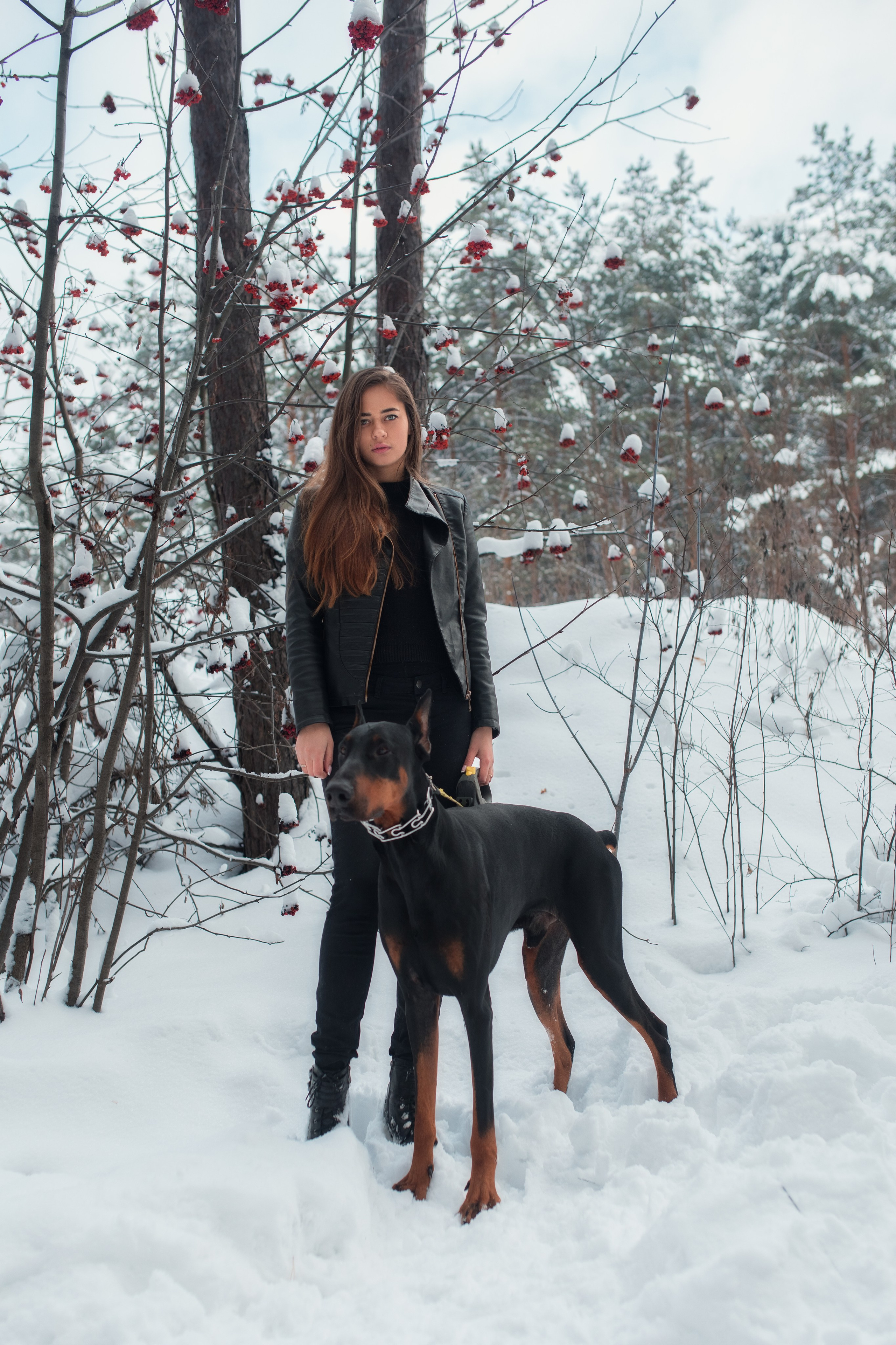 Зимняя съемка в лесу с доберманом с Ольгой в формате для «себя»